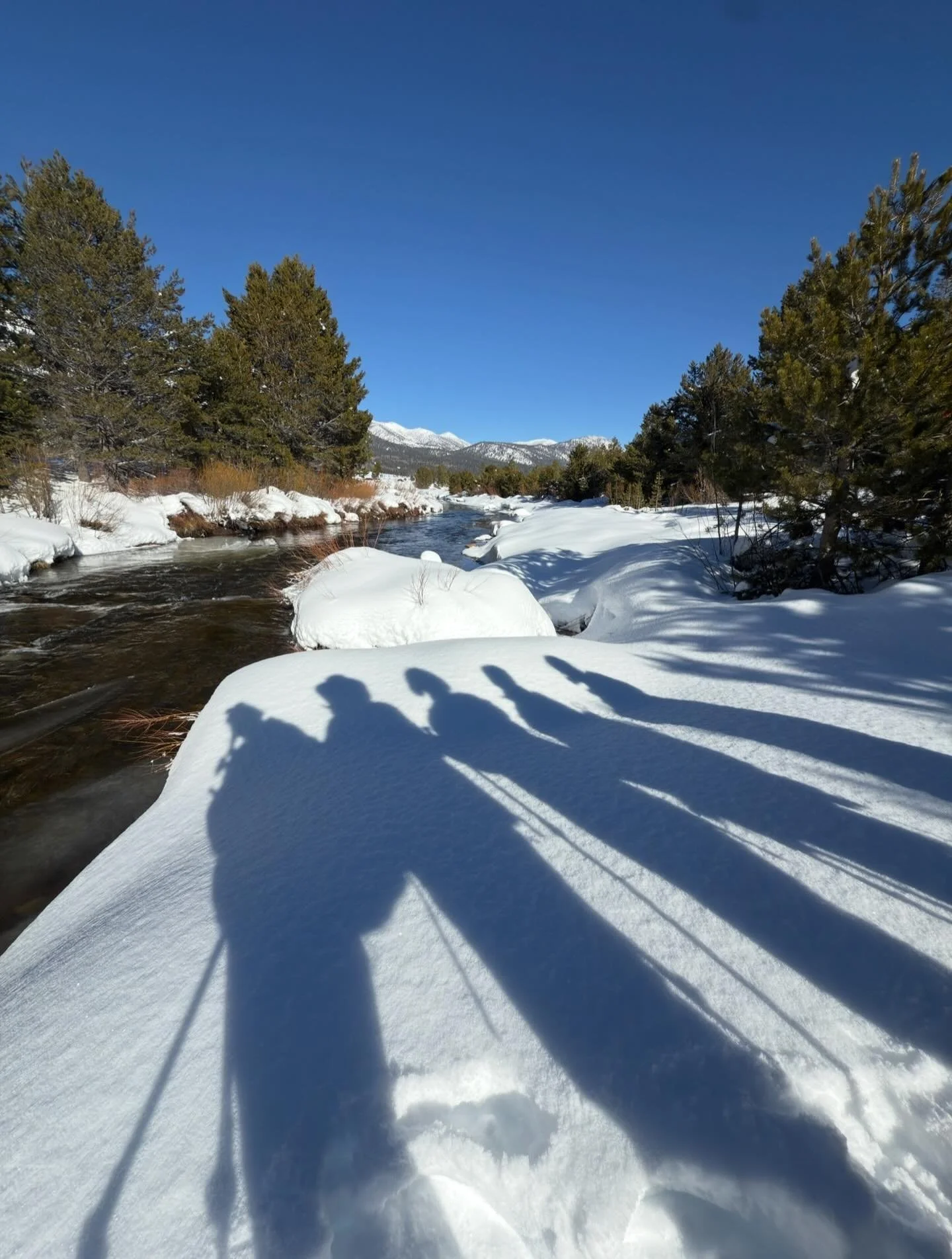 Do not forget to show hospitality to strangers, for by so doing some people have shown hospitality to angels without.  Hebrews 13:2
Just as the stars shine brighter in the night sky, so do friendships glow stronger amidst the wonders of the world dis