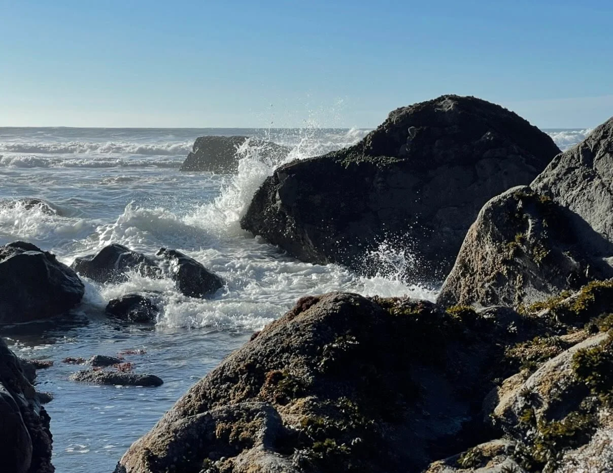 Let us hold unswervingly to the hope we profess, for he who promised is faithful  Hebrews 10:23 NIV  Click link for Daily Inspiration.  https://www.pathsofjoy.com/blog-1-1/hold-tight