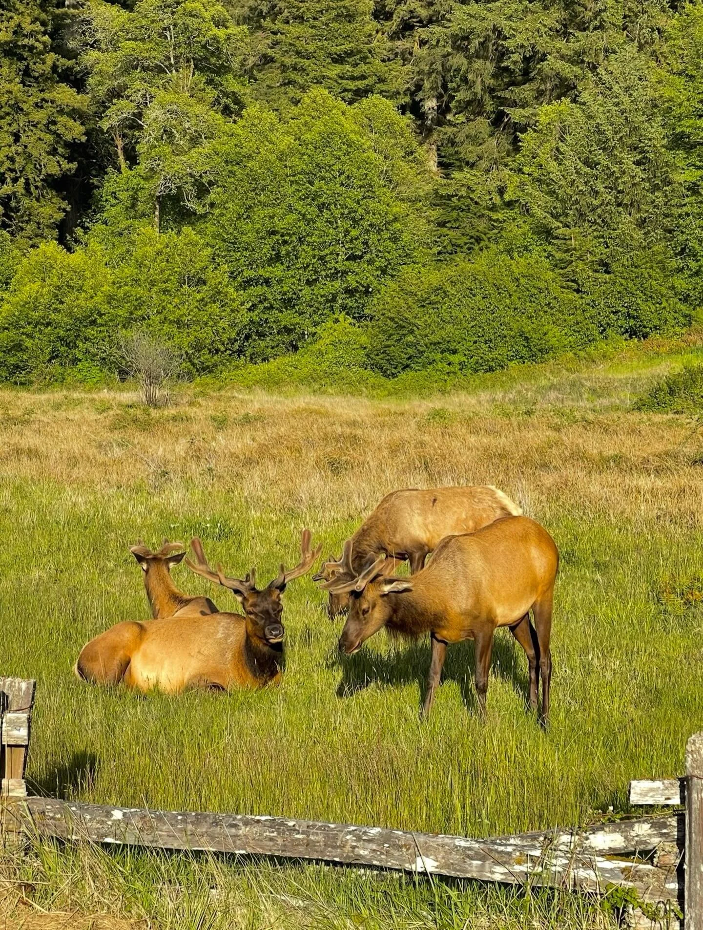 Never alone&hellip;
Click here for today&rsquo;s Paths of Joy Daily Inspiration 
https://www.pathsofjoy.com/blog-1-1/never-alone