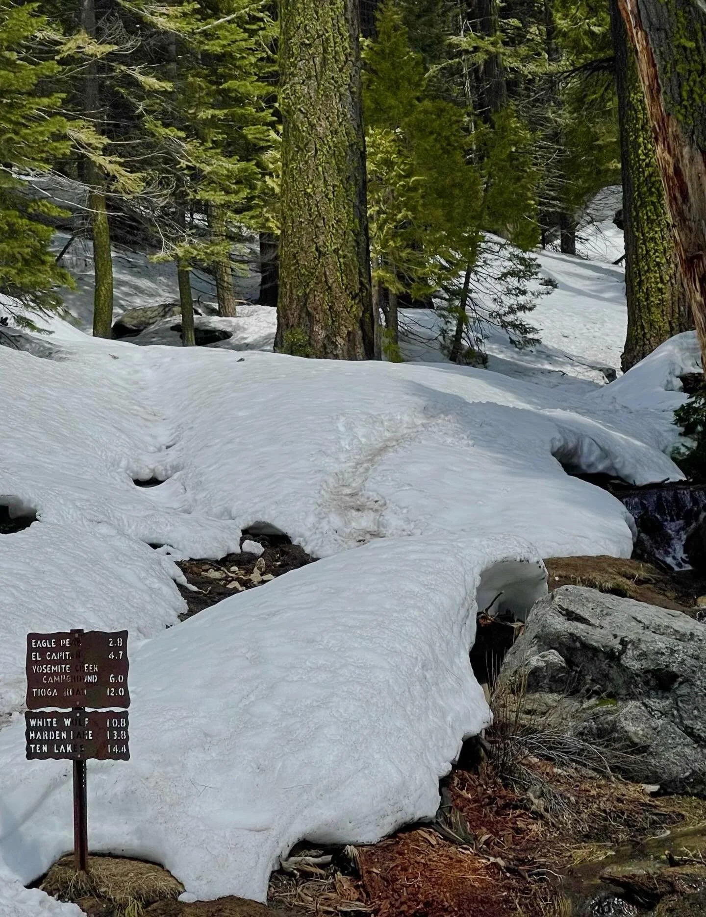 Tired but continuing onward.  Click here for today&rsquo;s Paths of Joy Daily Inspiration  https://www.pathsofjoy.com/blog-1-1/tired-but-continuing-onward