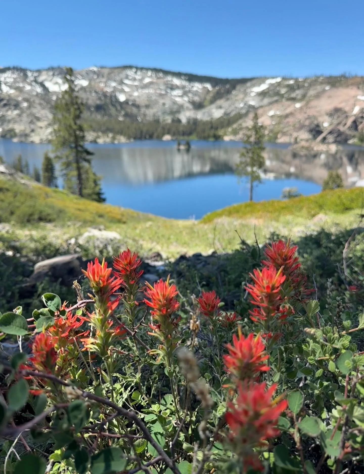 Growing&hellip;. Click link for today&rsquo;s Paths of Joy Daily Inspiration https://www.pathsofjoy.com/blog-1-1/growing