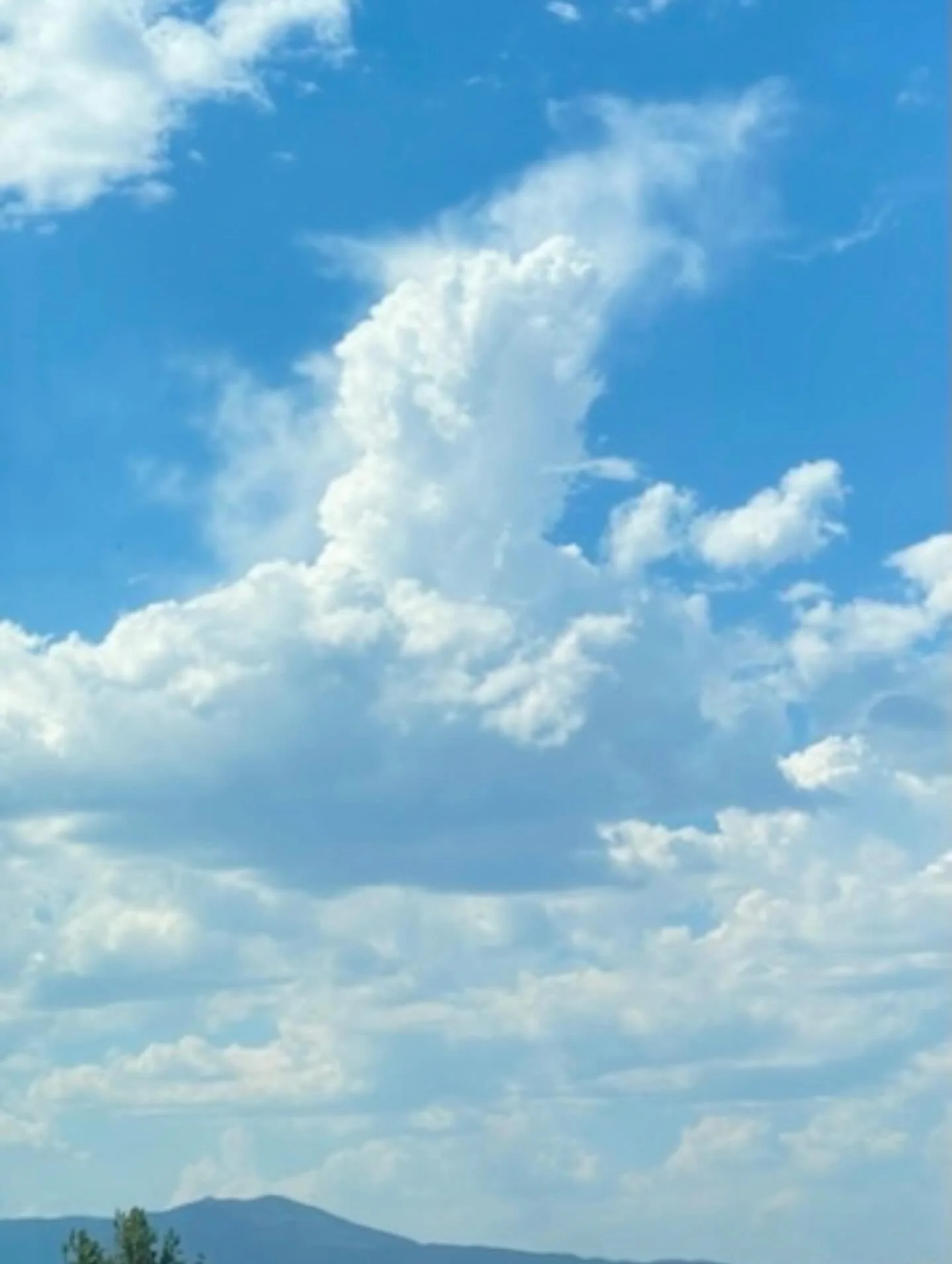 Clouds!
Click link for today&rsquo;s Paths of Joy Daily Inspiration  https://www.pathsofjoy.com/blog-1-1/clouds