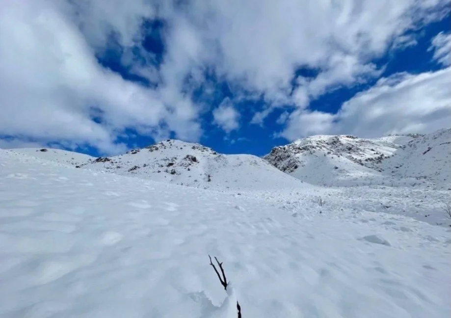 Winter rest lingers&hellip;. Click link for today&rsquo;s Paths of Joy Daily Inspiration  https://www.pathsofjoy.com/blog-1-1/winter-rest-lingers