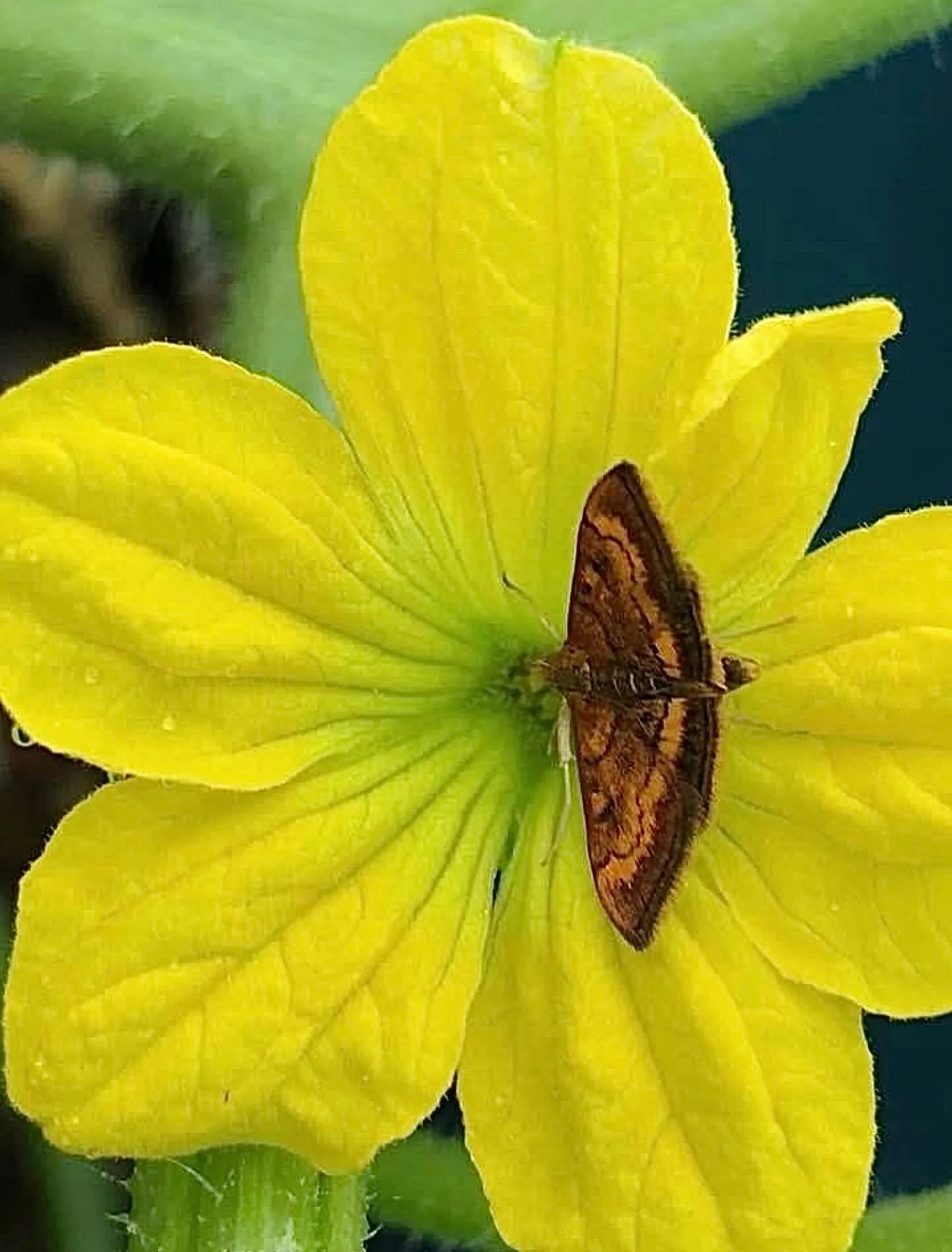 True wealth.  Click link for today&rsquo;s Paths of Joy Daily Inspiration  https://www.pathsofjoy.com/blog-1-1/true-wealth