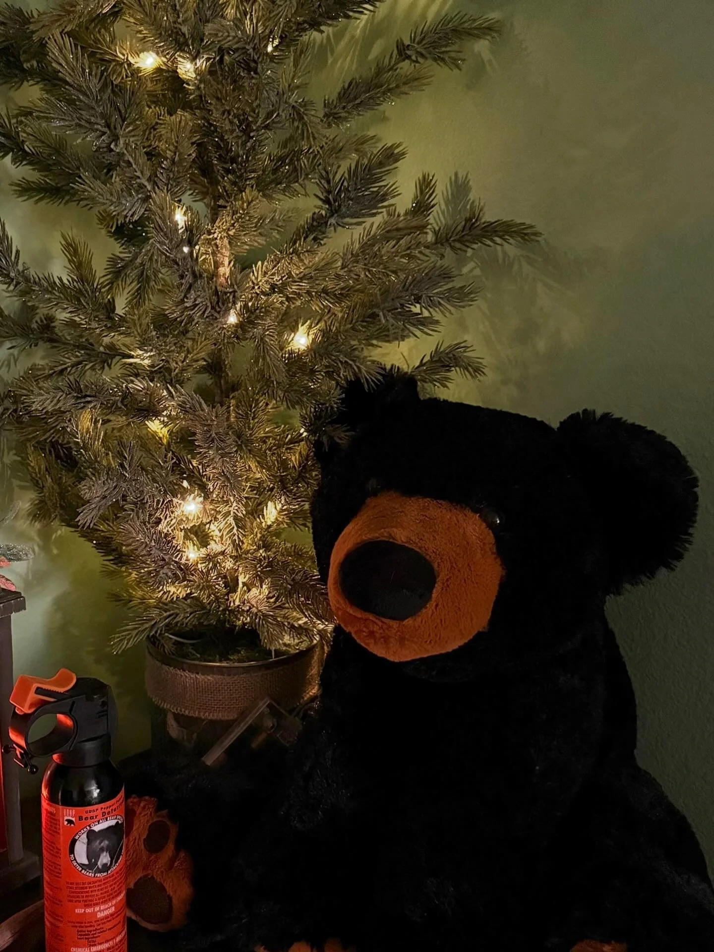 Click link for today&rsquo;s Paths of Joy Daily Inspiration 
https://www.pathsofjoy.com/blog-1-1/being-prepared-for-possible-danger