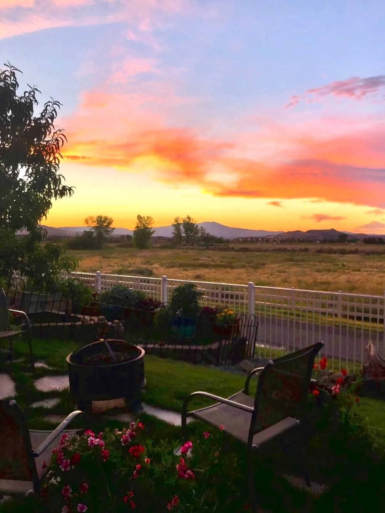 Unhurriedly neighborly&hellip;. Click link for today&rsquo;s Paths of Joy Daily Inspiration  https://www.pathsofjoy.com/blog-1-1/unhurriedly-neighborly