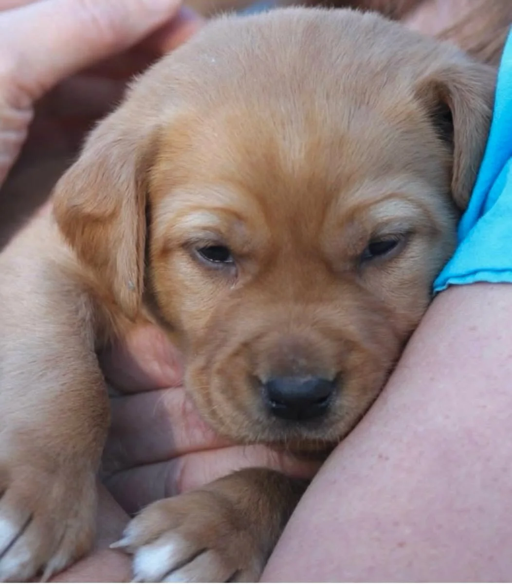 Perfection&hellip;
Click link for today&rsquo;s Paths of Joy Daily Inspiration  https://www.pathsofjoy.com/blog-1-1/perfection-beckons