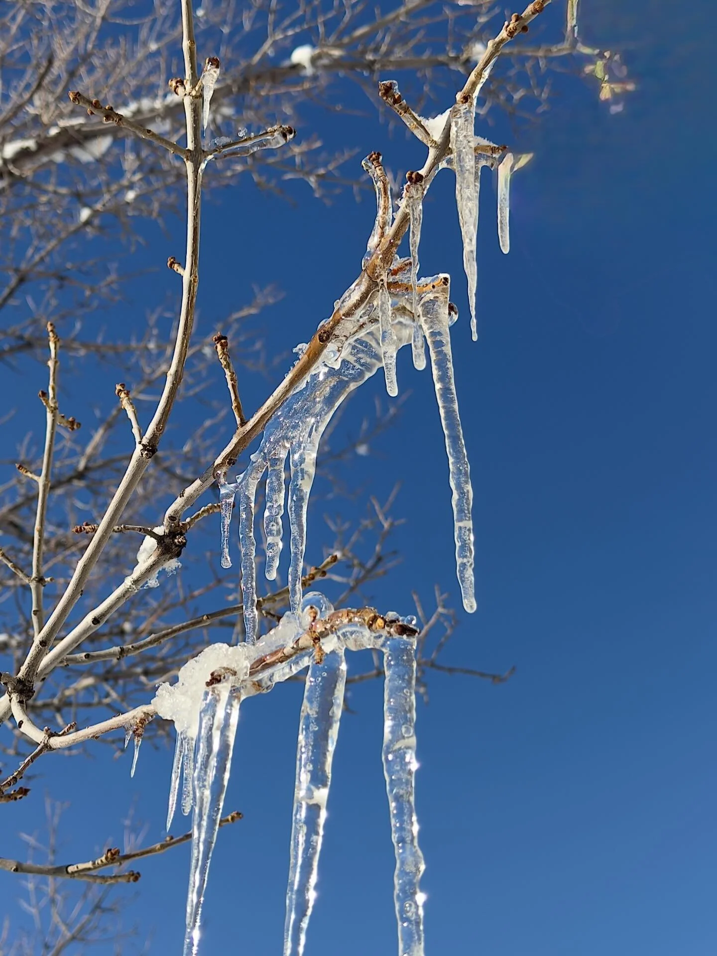 My contrary human nature&hellip;. Click link for today&rsquo;s Paths of Joy Daily Inspiration  https://www.pathsofjoy.com/blog-1-1/my-contrary-human-nature