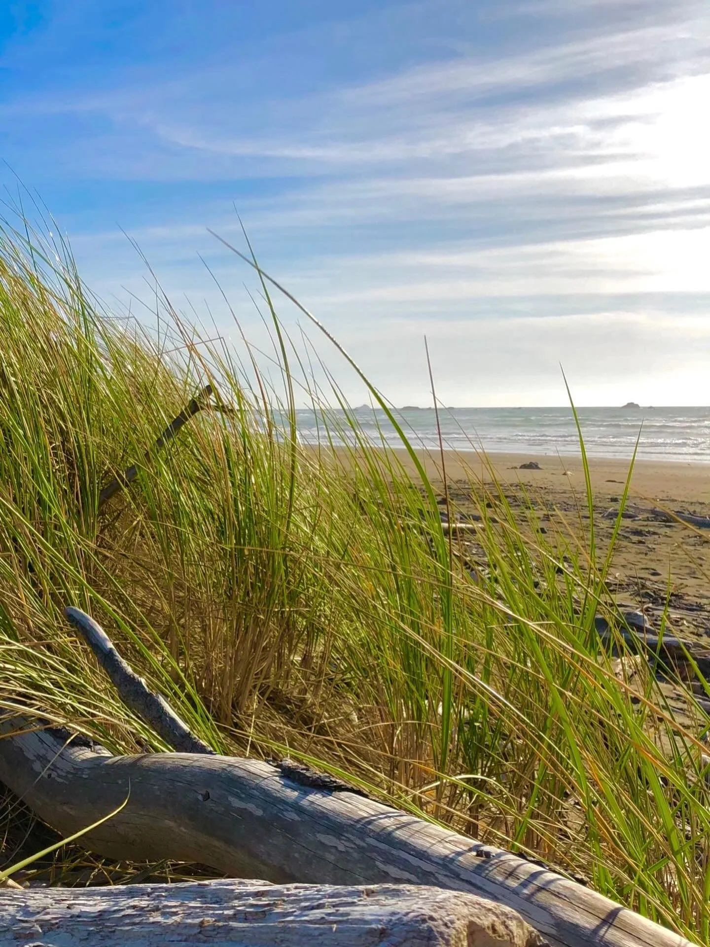 Sand&hellip;. Click link for today&rsquo;s Paths of Joy Daily Inspiration  https://www.pathsofjoy.com/blog-1-1/sand