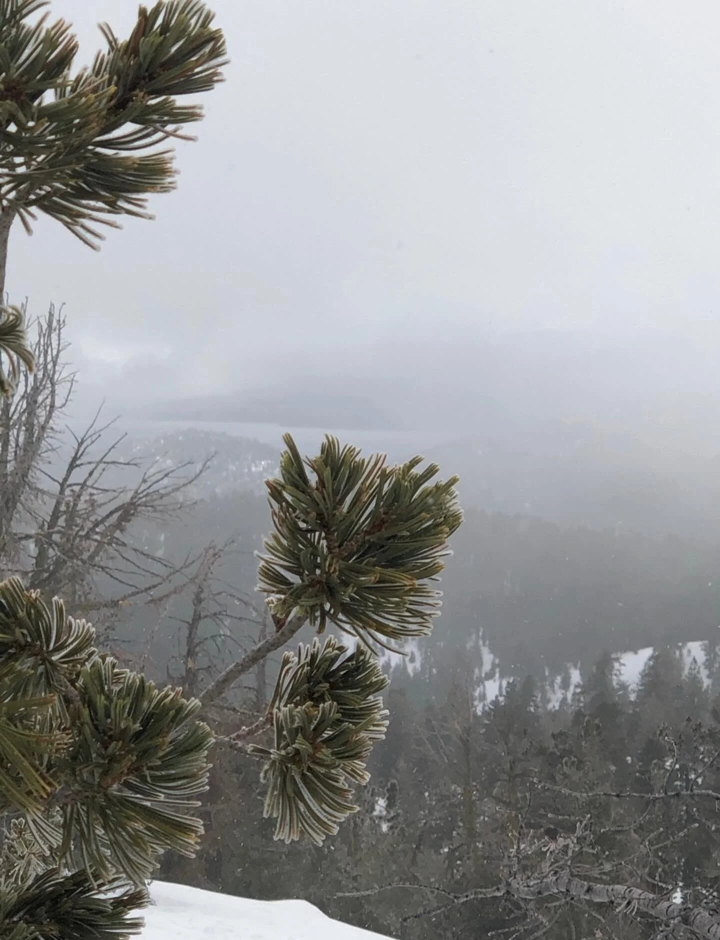 The power of encouragement&hellip;. Click link for today&rsquo;s Paths of Joy Daily Inspiration  https://www.pathsofjoy.com/blog-1-1/the-power-of-encouragement