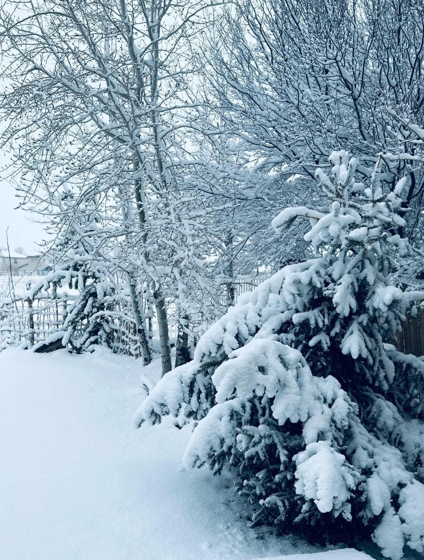 Winter work&hellip;. Click link for today&rsquo;s Paths of Joy Daily Inspiration  https://www.pathsofjoy.com/blog-1-1/winter-work