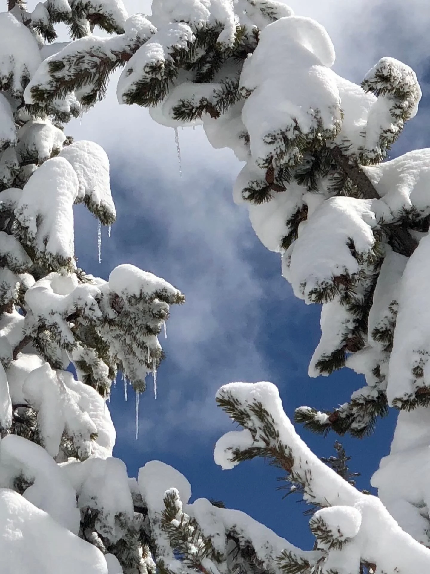 Icicles.  Click link for today&rsquo;s Paths of Joy Daily Inspiration 
https://www.pathsofjoy.com/blog-1-1/icicles