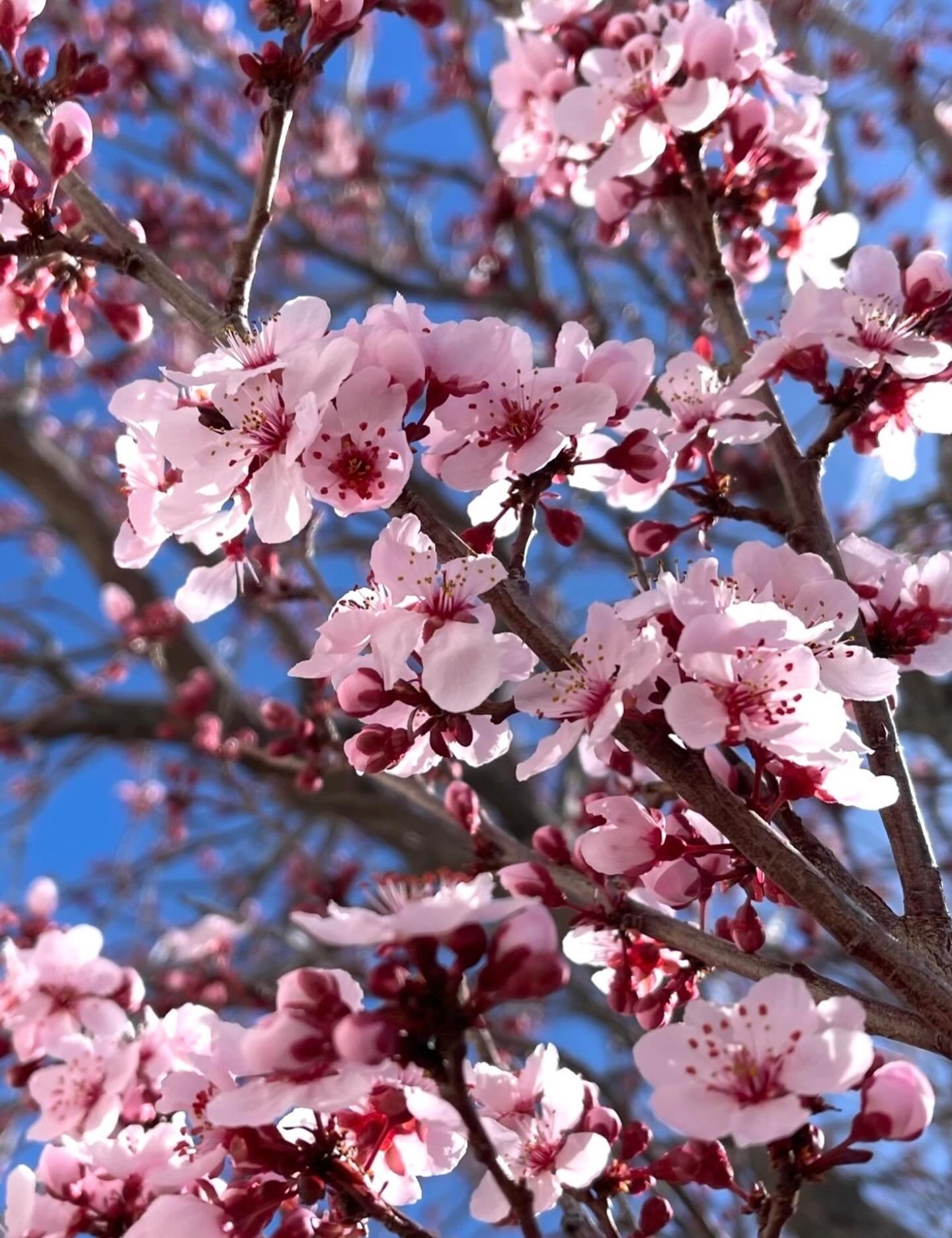 Preparation and timing.  Click link for today&rsquo;s Paths of Joy Daily Inspiration  https://www.pathsofjoy.com/blog-1-1/preparation-and-timing