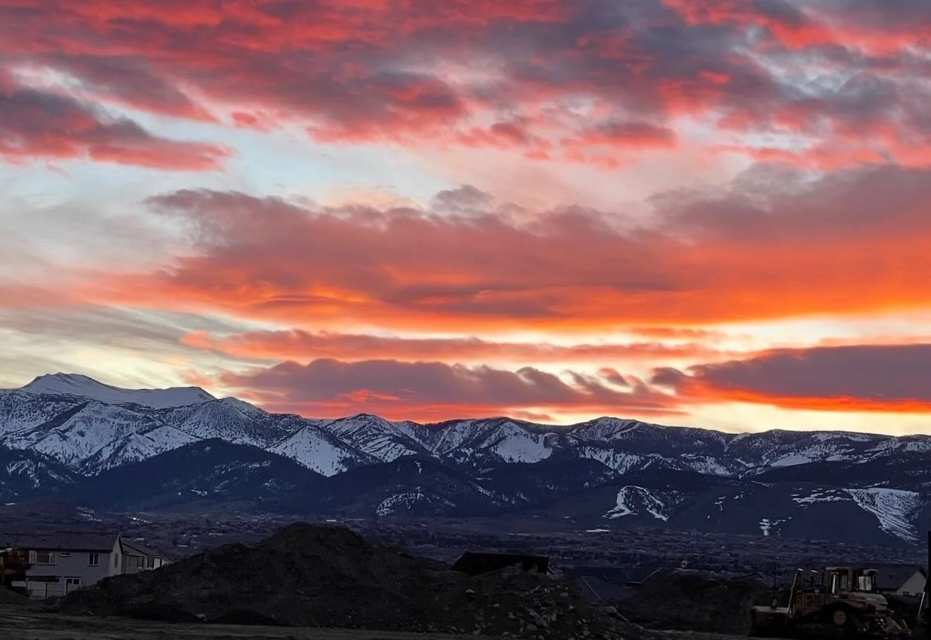 Moods of March&hellip;. Click link for today&rsquo;s Paths of Joy Daily Inspiration  https://www.pathsofjoy.com/blog-1-1/moods-of-march