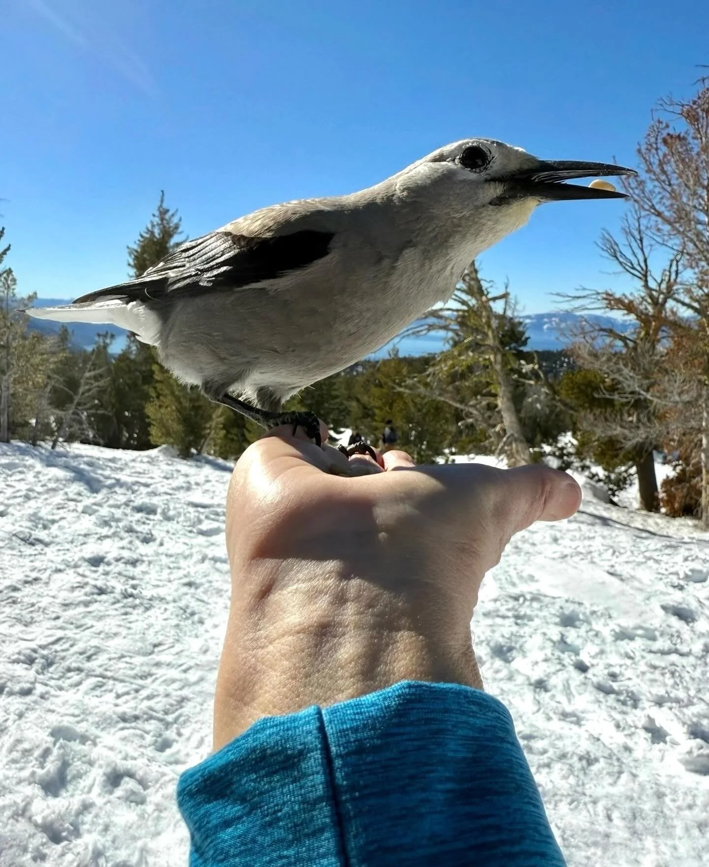 Feathered friends&hellip;. Click link for today&rsquo;s Paths of Joy Daily Inspiration  https://www.pathsofjoy.com/blog-1-1/feathered-friends