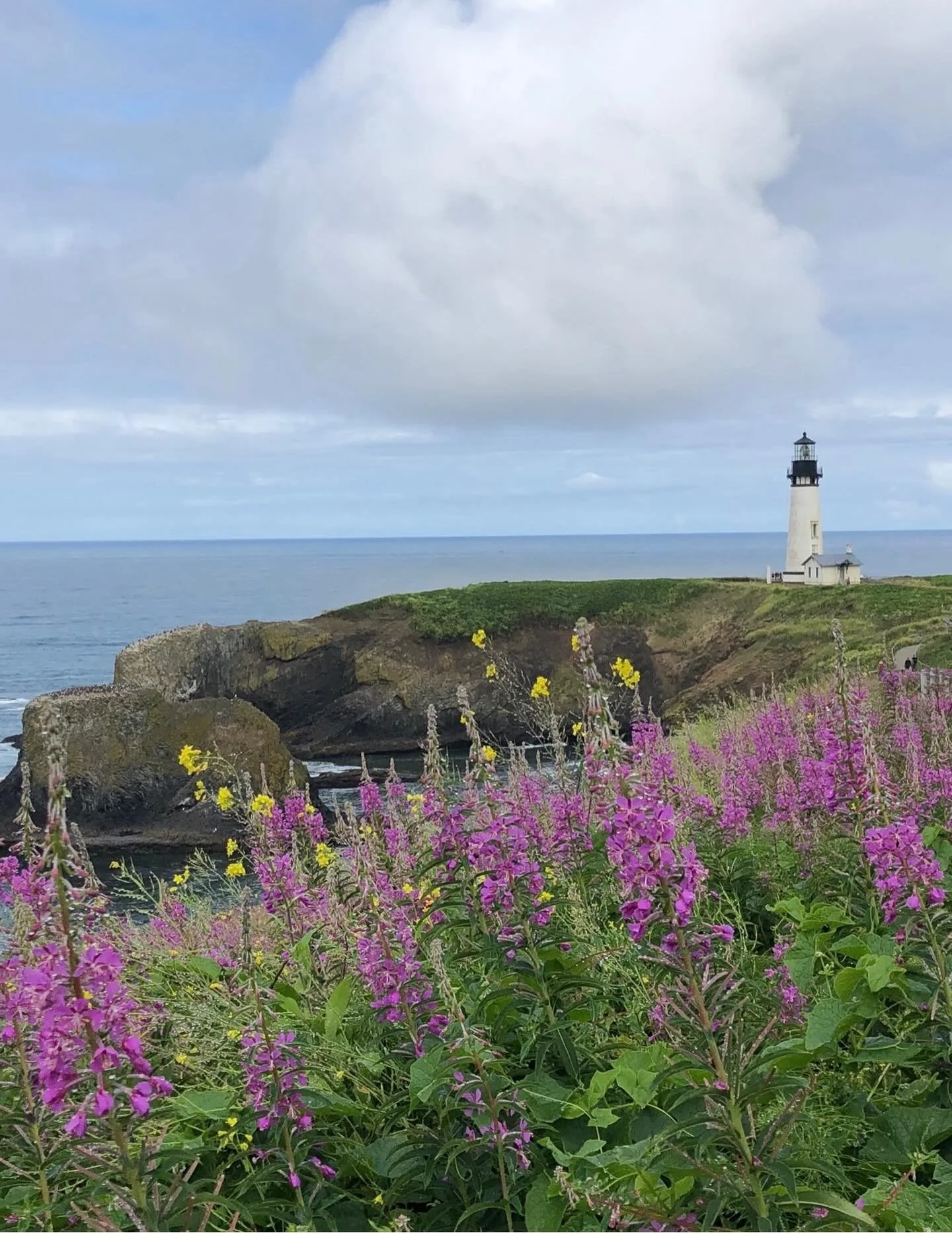 Beacons of light&hellip;  Click link for today&rsquo;s Paths of Joy Daily Inspiration 
https://www.pathsofjoy.com/blog-1-1/beacons-of-light