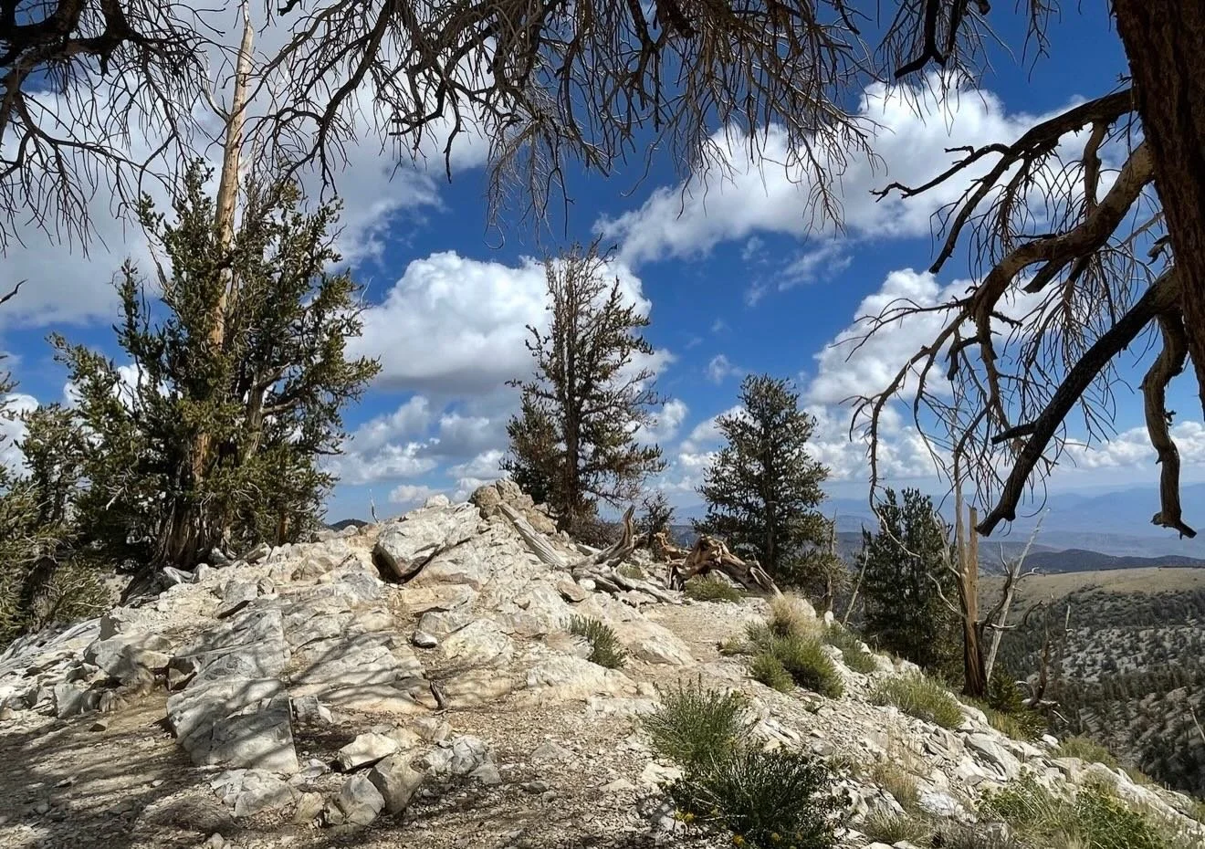 Balancing community and solitude.  Click link for today&rsquo;s Paths of Joy Daily Inspiration  https://www.pathsofjoy.com/blog-1-1/balancing-community-and-solitude