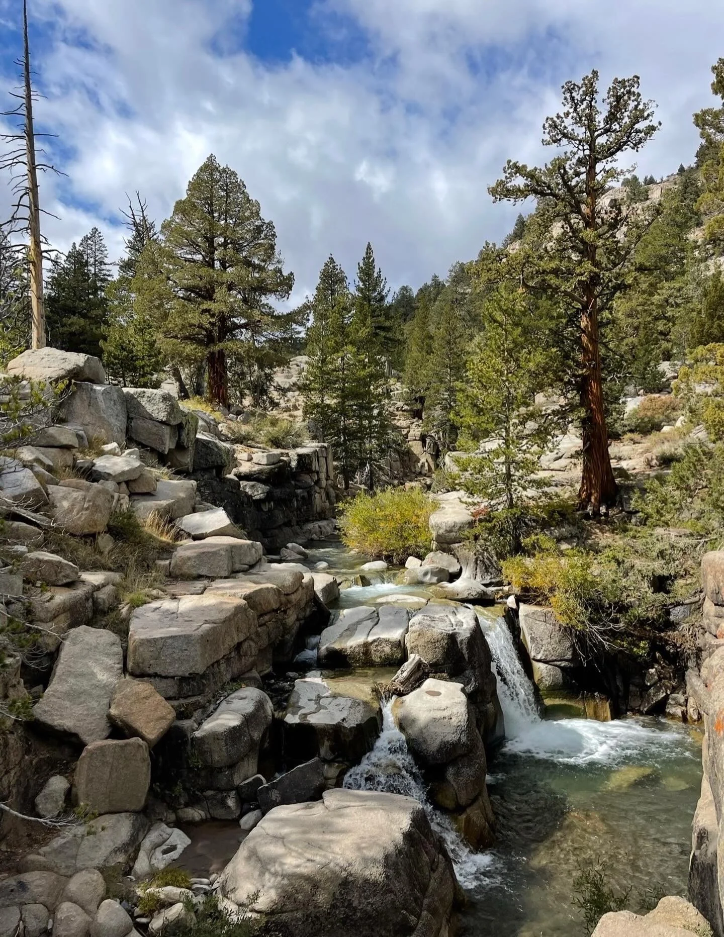 The rocks speak&hellip;
Click link for today&rsquo;s Paths of Joy Daily Inspiration  https://www.pathsofjoy.com/blog-1-1/the-rocks-speak