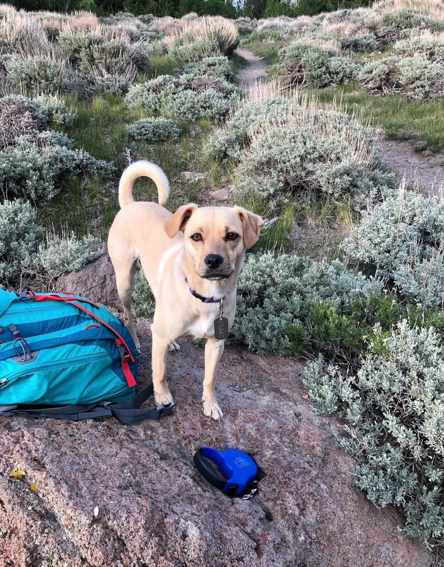 Are you prepared?
Click link for today&rsquo;s Paths of Joy Daily Inspiration  https://www.pathsofjoy.com/blog-1-1/are-you-prepared