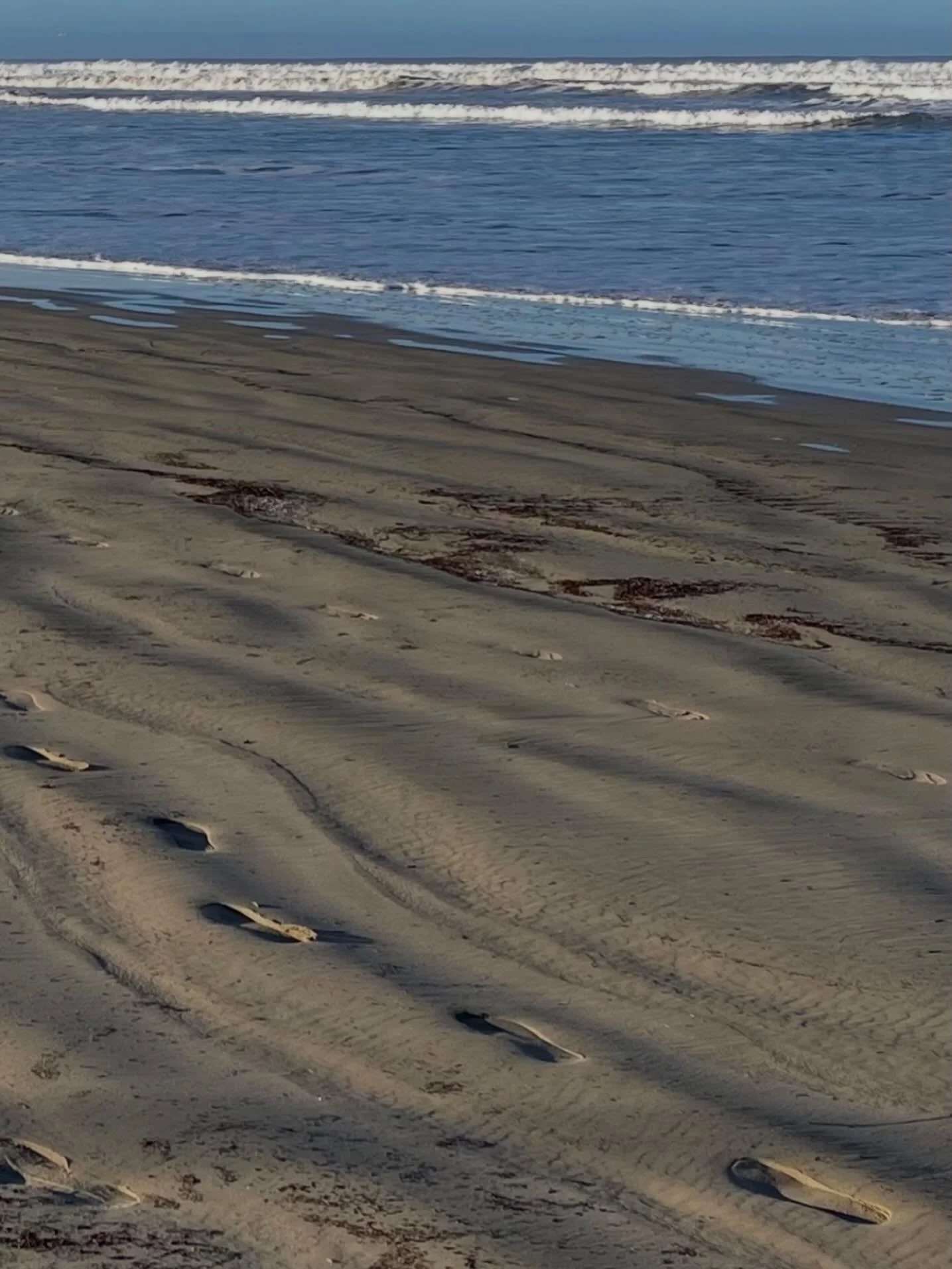 Footprints.  Click link for today&rsquo;s Paths of Joy Daily Inspiration  https://www.pathsofjoy.com/blog-1-1/footprints