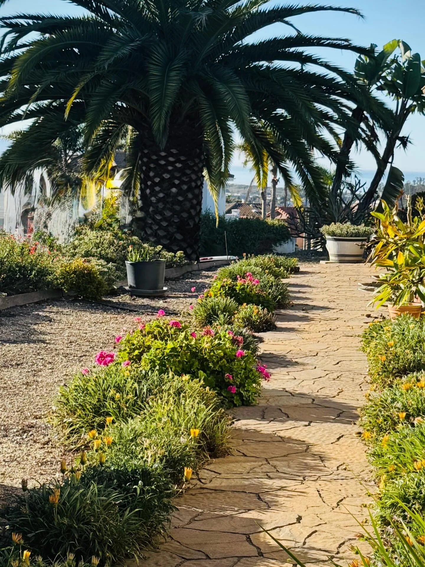 Palm Sunday.  Click link for today&rsquo;s Paths of Joy Daily Inspiration 
https://www.pathsofjoy.com/blog-1-1/palm-sunday