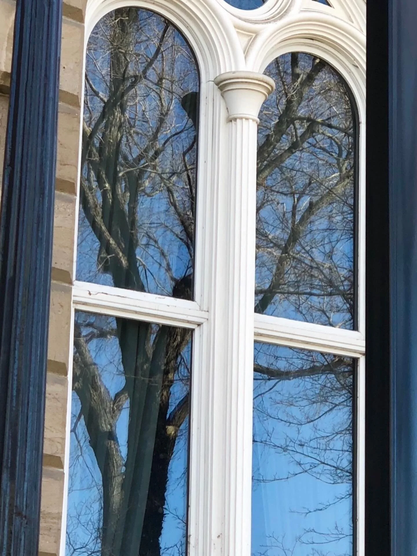 Windows.  Click link for today&rsquo;s Paths of Joy Daily Inspiration 
https://www.pathsofjoy.com/blog-1-1/windows