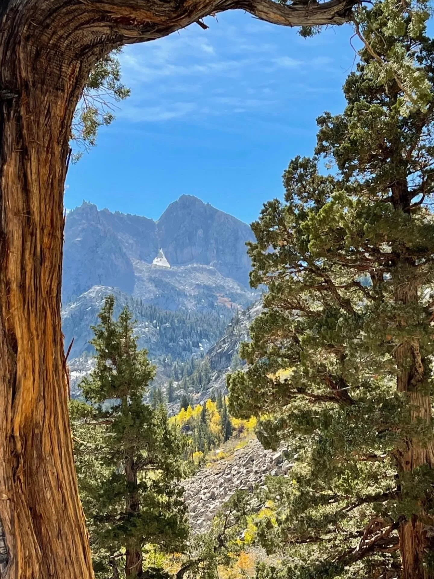 Mountains!!!
Click link for today&rsquo;s Paths of Joy Daily Inspiration 
https://www.pathsofjoy.com/blog-1-1/mountains