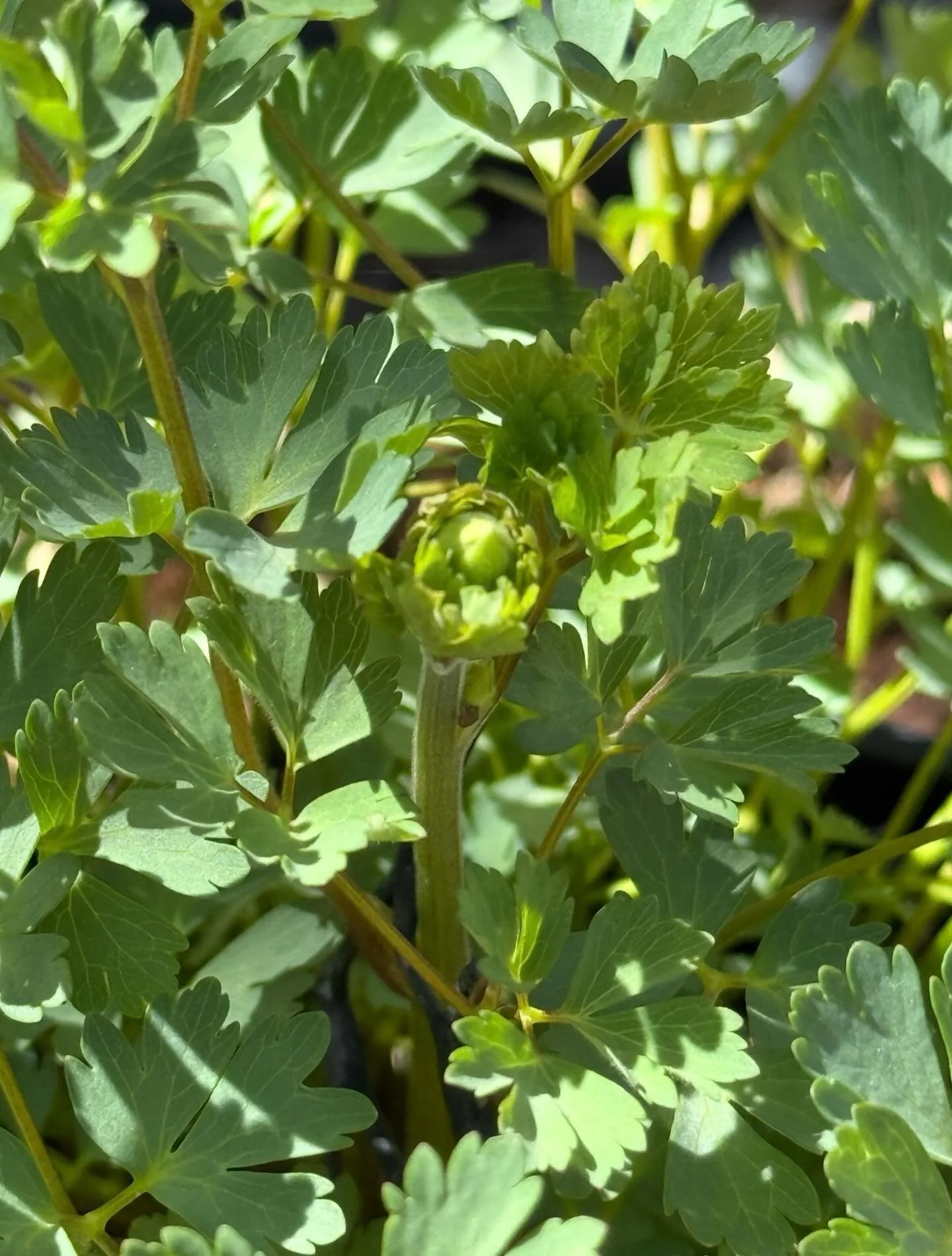 Surprise!  Click link for today&rsquo;s Paths of Joy Daily Inspiration 
https://www.pathsofjoy.com/blog-1-1/surprise