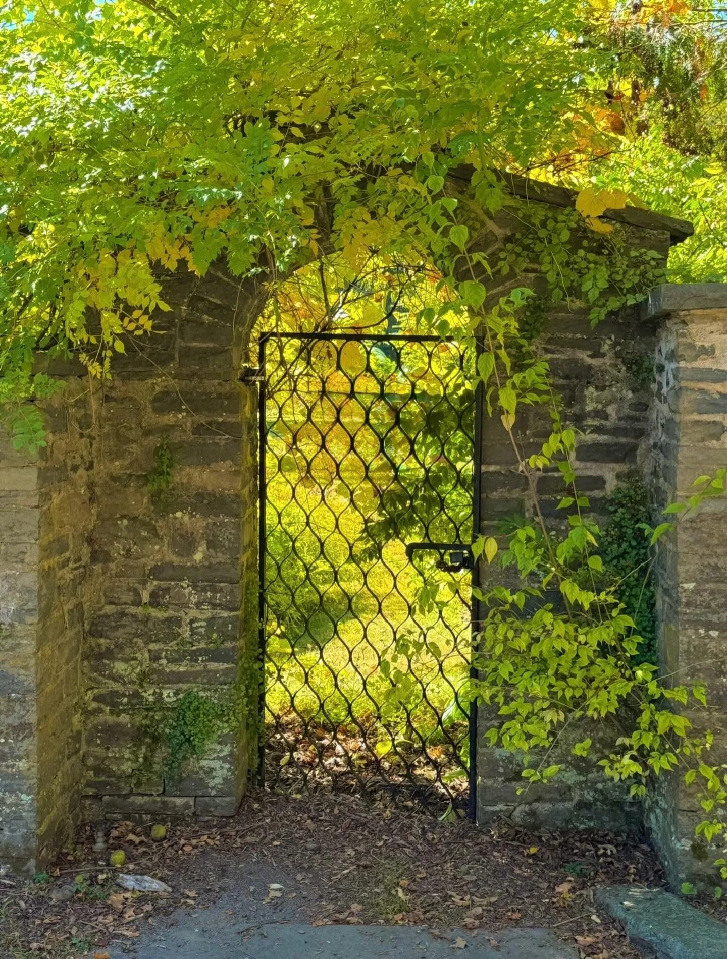 Archways
Click link for today&rsquo;s Paths of Joy Daily Inspiration 
https://www.pathsofjoy.com/blog-1-1/archways