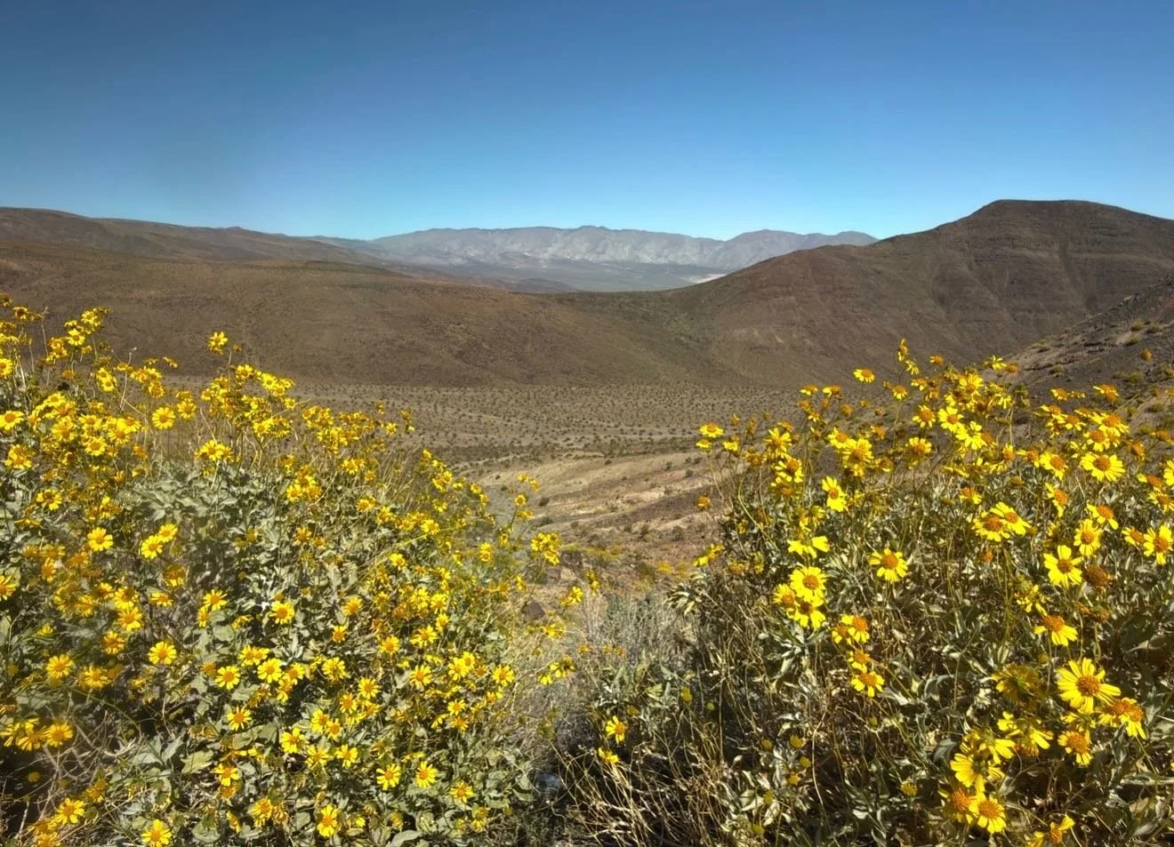 Lazarus.  Click link for today&rsquo;s Paths of Joy Daily Inspiration  https://www.pathsofjoy.com/blog-1-1/lazarus