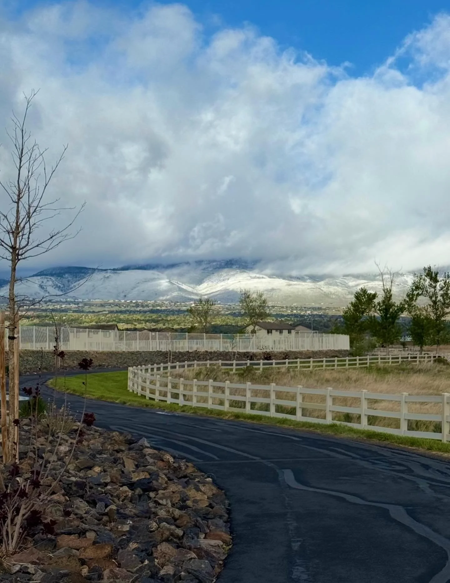 Temperamental Spring Days!
Click link for today&rsquo;s Paths of Joy Daily Inspiration  https://www.pathsofjoy.com/blog-1-1/temperamental-spring-days