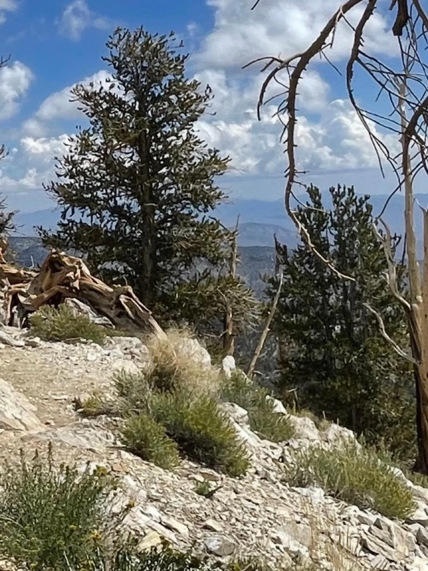 Take it slow&hellip;
Click here for today&rsquo;s Paths of Joy Daily Inspiration 
https://www.pathsofjoy.com/blog-1-1/take-it-slow