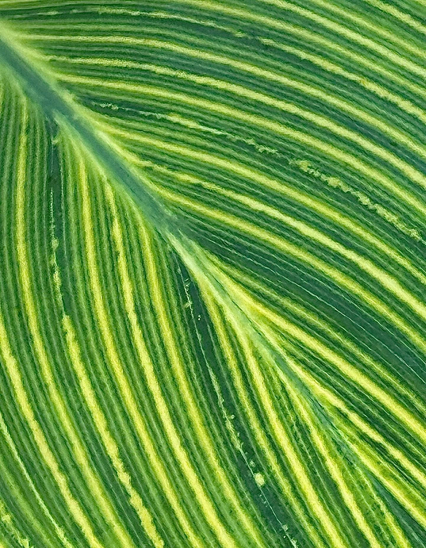 Patterns&hellip;.
Click link for today&rsquo;s Paths of Joy Daily Inspiration  https://www.pathsofjoy.com/blog-1-1/patterns