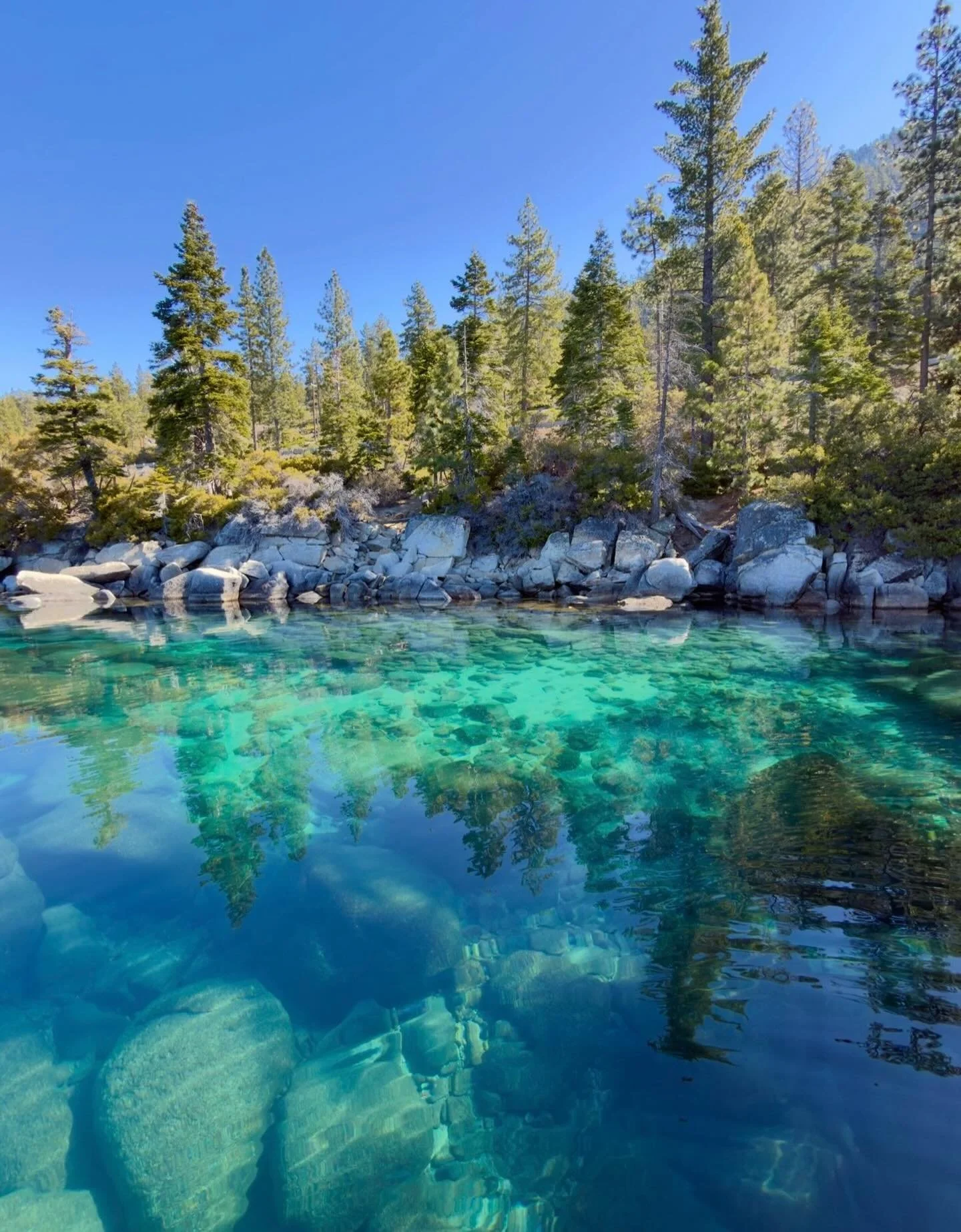 Preview of Summer!
Click link for today&rsquo;s Paths of Joy Daily Inspiration  https://www.pathsofjoy.com/blog-1-1/preview-of-summer