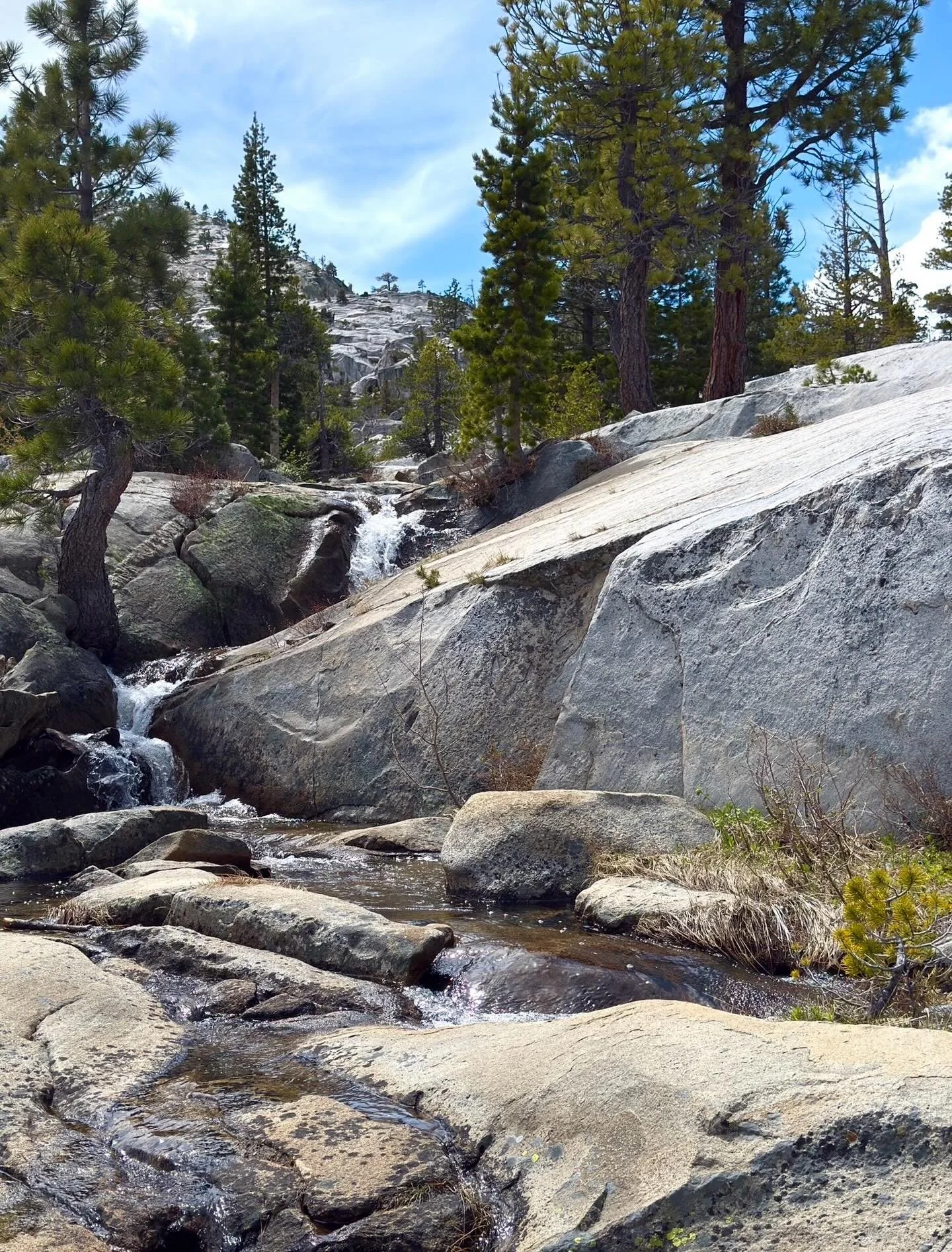 Stepping stones&hellip; ____. _____. _____
Click link for today&rsquo;s Paths of Joy Daily Inspiration 
https://www.pathsofjoy.com/blog-1-1/stepping-stonesnbsp-nbsp-