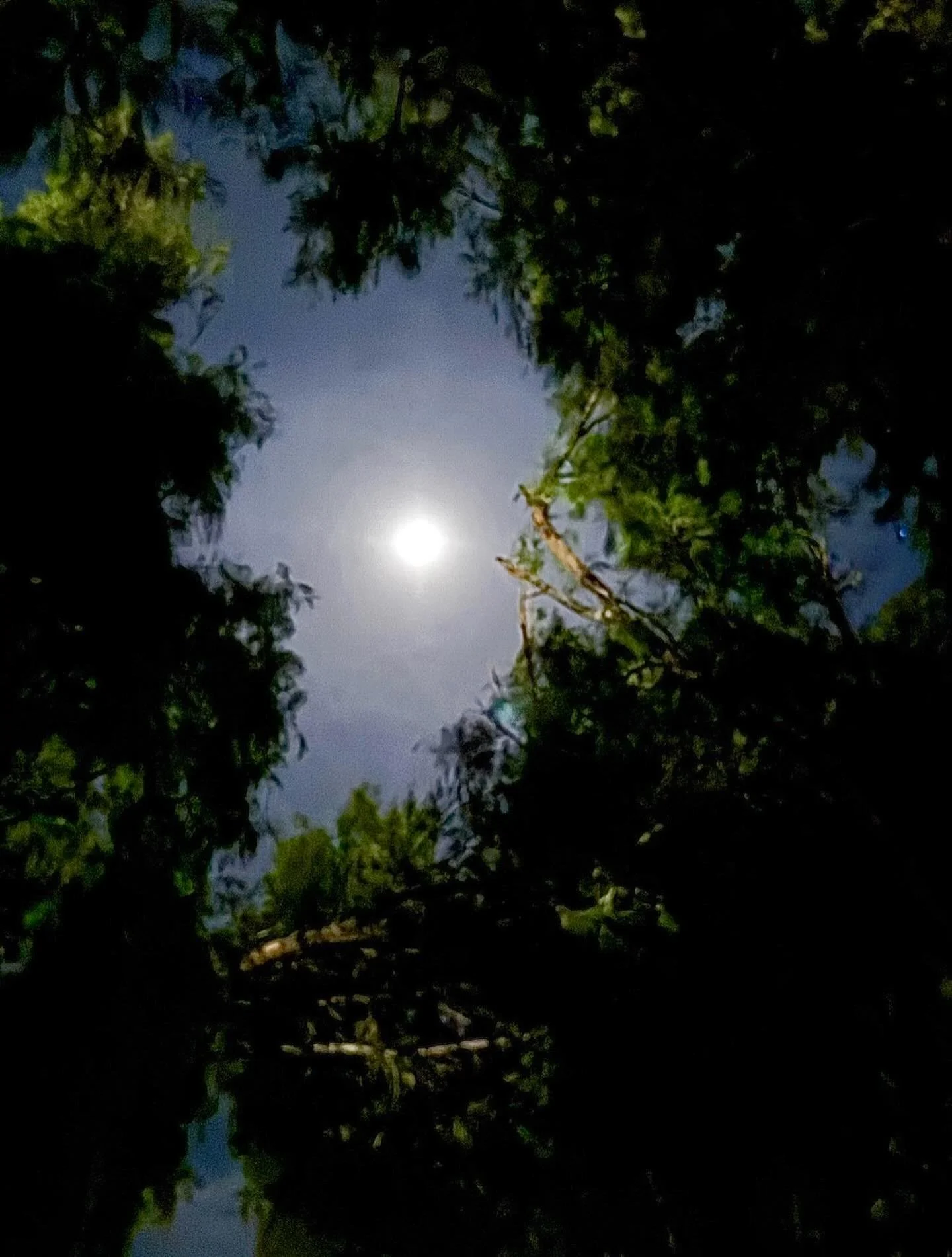 Moon.  Click link for today&rsquo;s Paths of Joy Daily Inspiration 
https://www.pathsofjoy.com/blog-1-1/moon