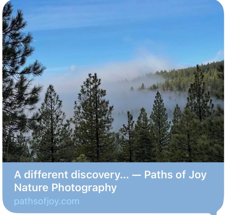 Unknown future (part two)
Click link for today&rsquo;s Paths of Joy Daily Inspiration 
https://www.pathsofjoy.com/blog-1-1/unknown-future-1