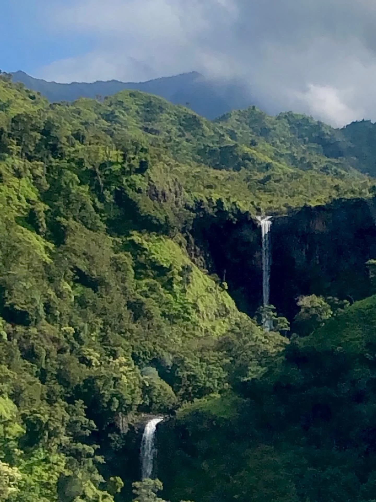 Falling Water!  Click link for today&rsquo;s Paths of Joy Daily Inspiration 
https://www.pathsofjoy.com/blog-1-1/falling-water