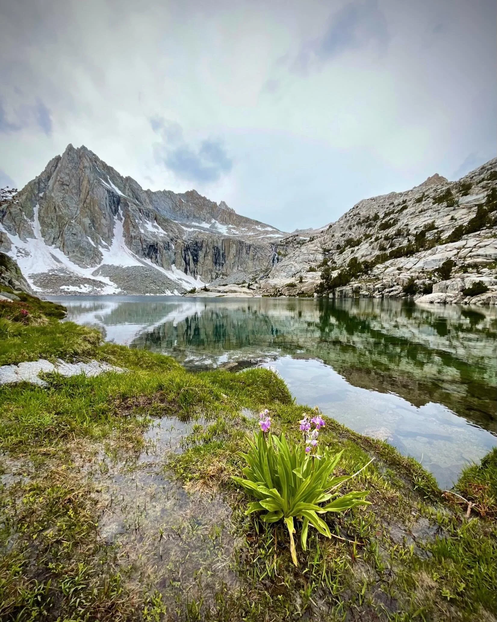Mountain Wisdom.  Click link for today&rsquo;s Paths of Joy Daily Inspiration 
https://www.pathsofjoy.com/blog-1-1/mountain-wisdom