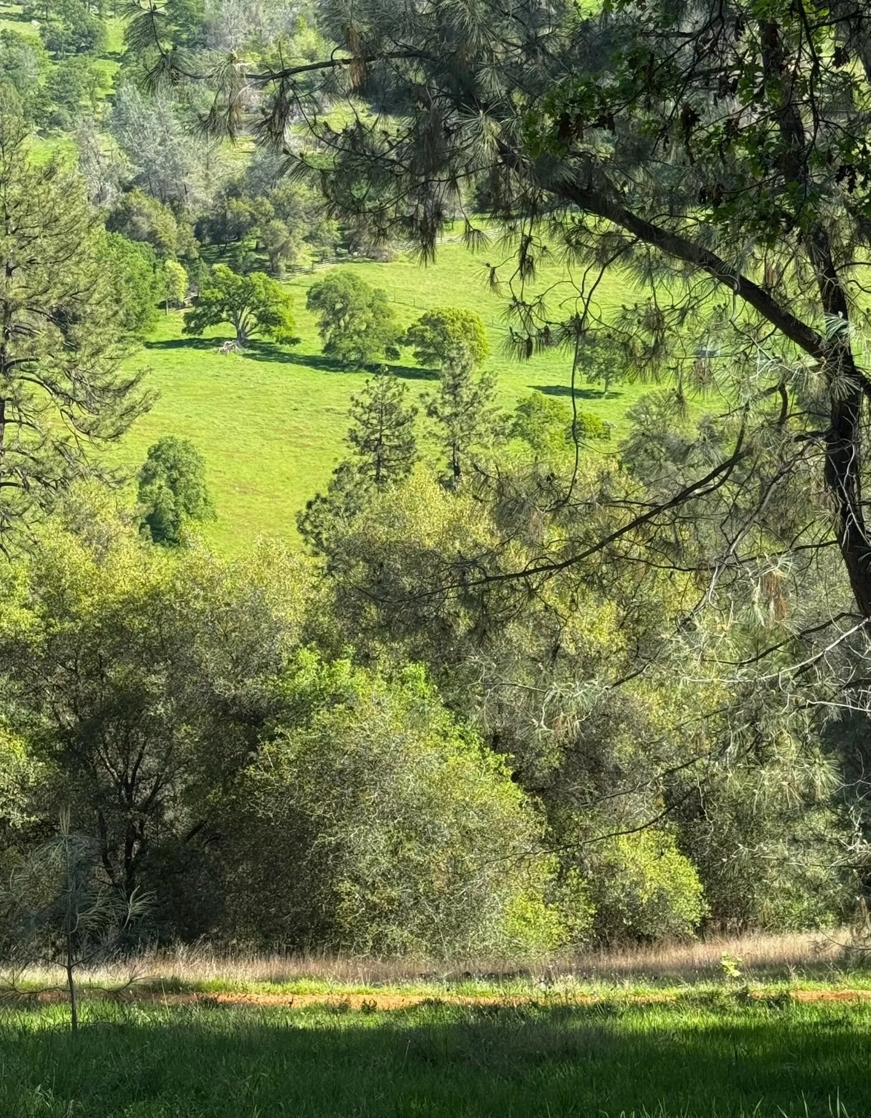Harmony of Hills.  Click link for today&rsquo;s Paths of Joy Daily Inspiration  https://www.pathsofjoy.com/blog-1-1/harmony-of-hills