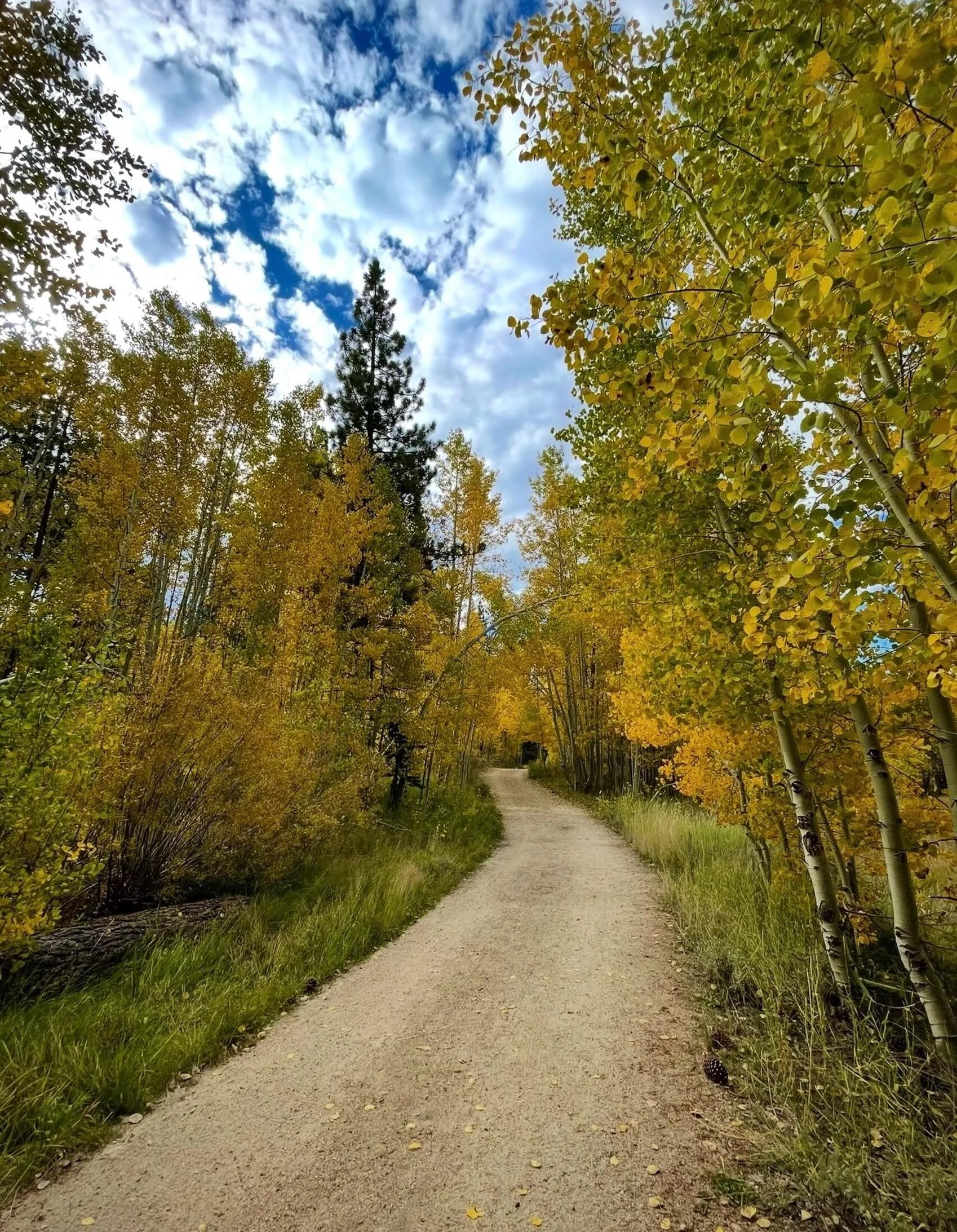 On the road&hellip;
Click link for today&rsquo;s Paths of Joy Daily Inspiration  https://www.pathsofjoy.com/blog-1-1/on-the-road