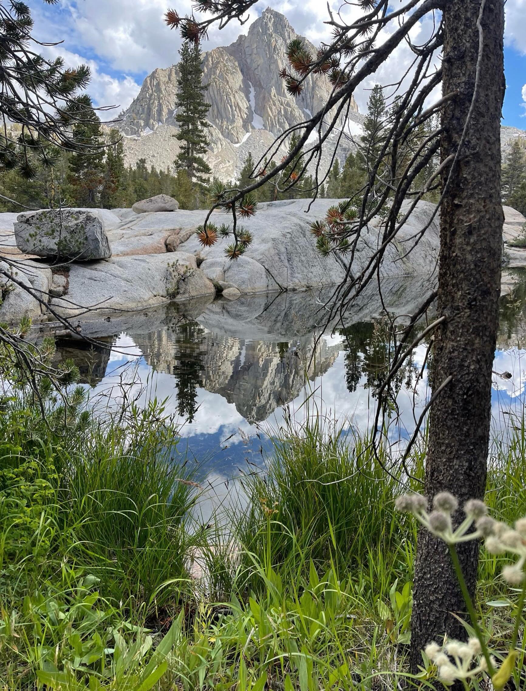 Reflected Majesty.  Click here for today&rsquo;s Paths of Joy Daily Inspiration 
https://www.pathsofjoy.com/blog-1-1/reflected-majesty