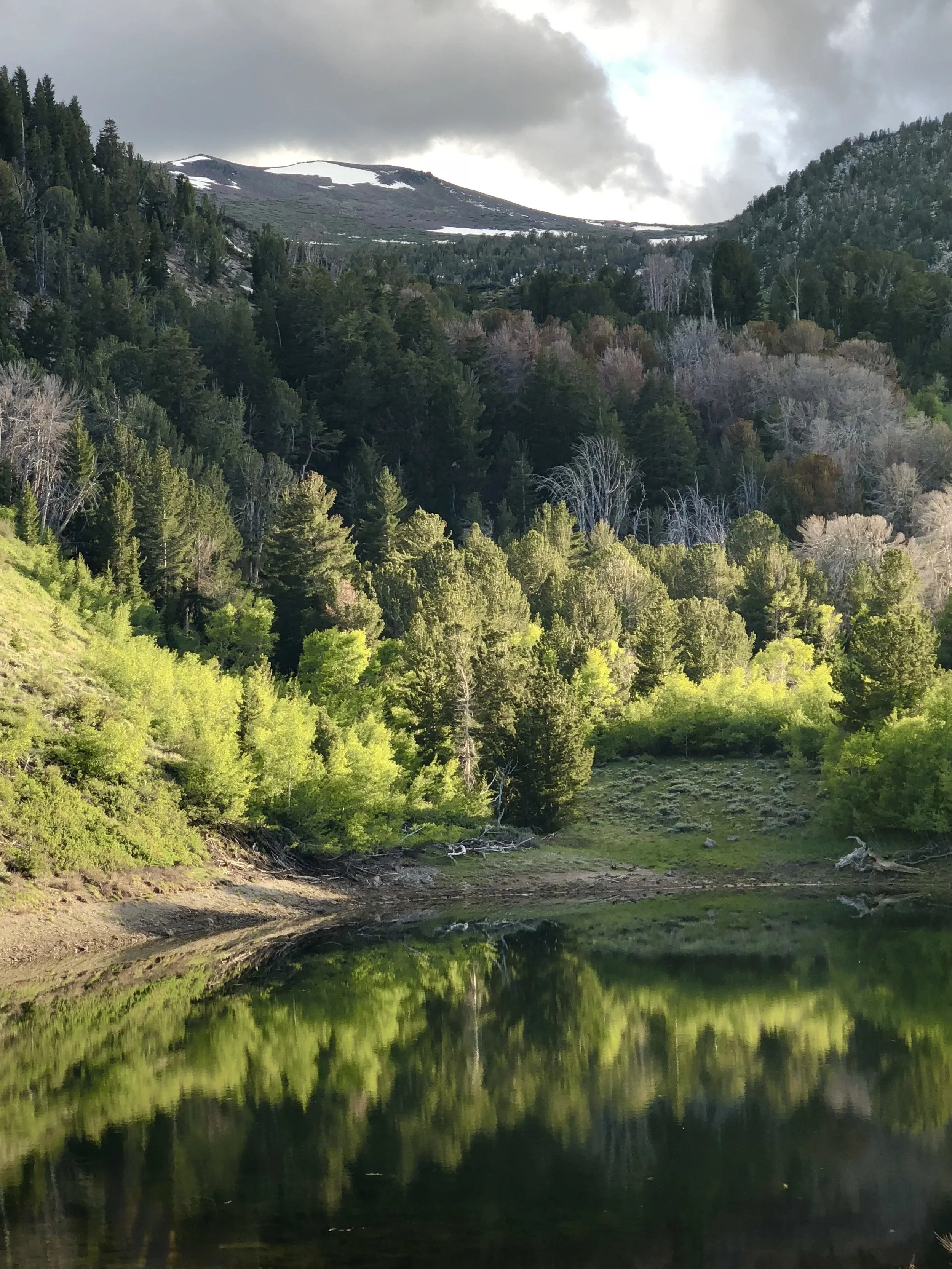 2018 june 18 Evening Contemplation 12 mp   IMG_1929.jpeg