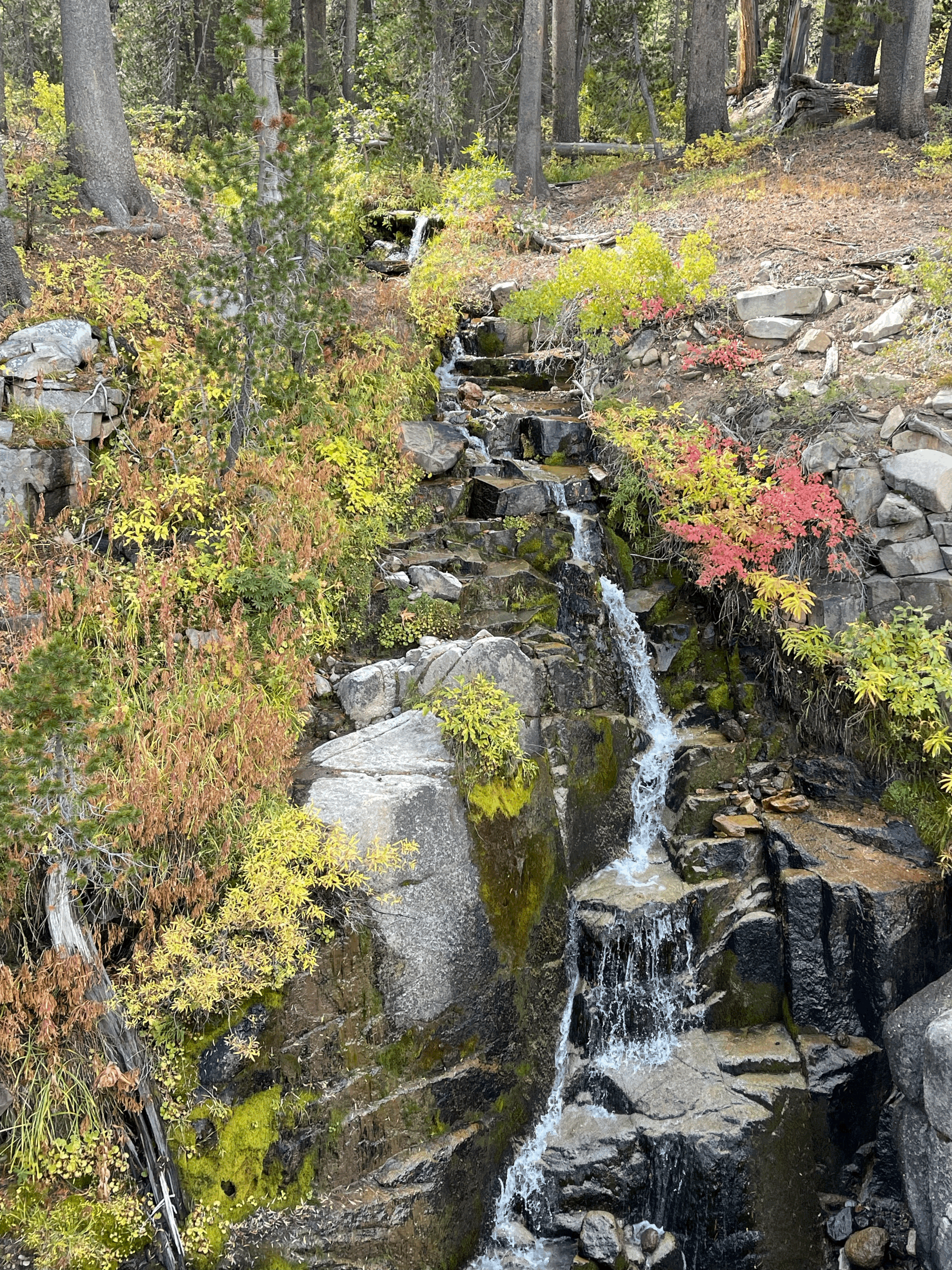 Cascade of Color