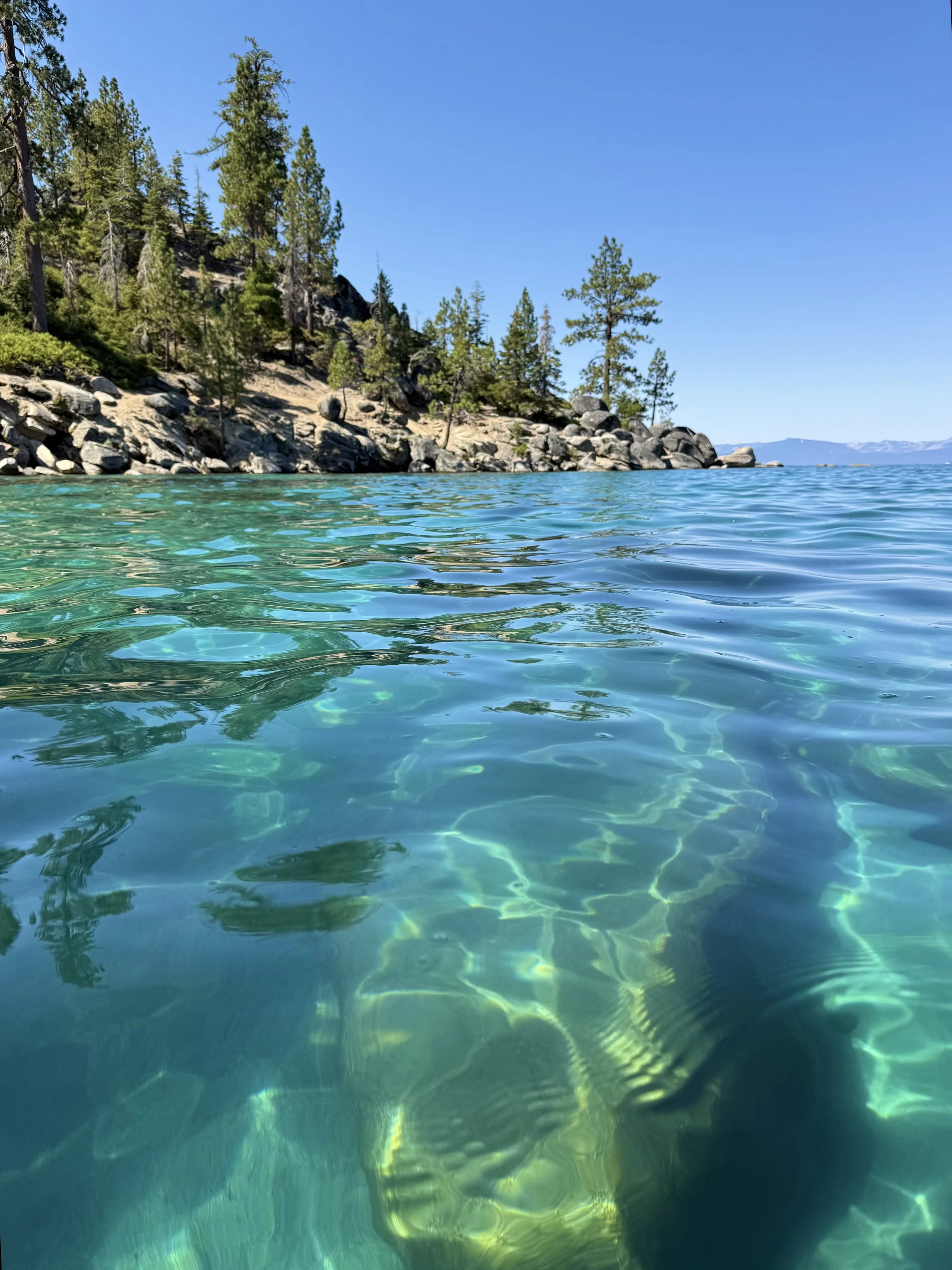 Tahoe Teal Too