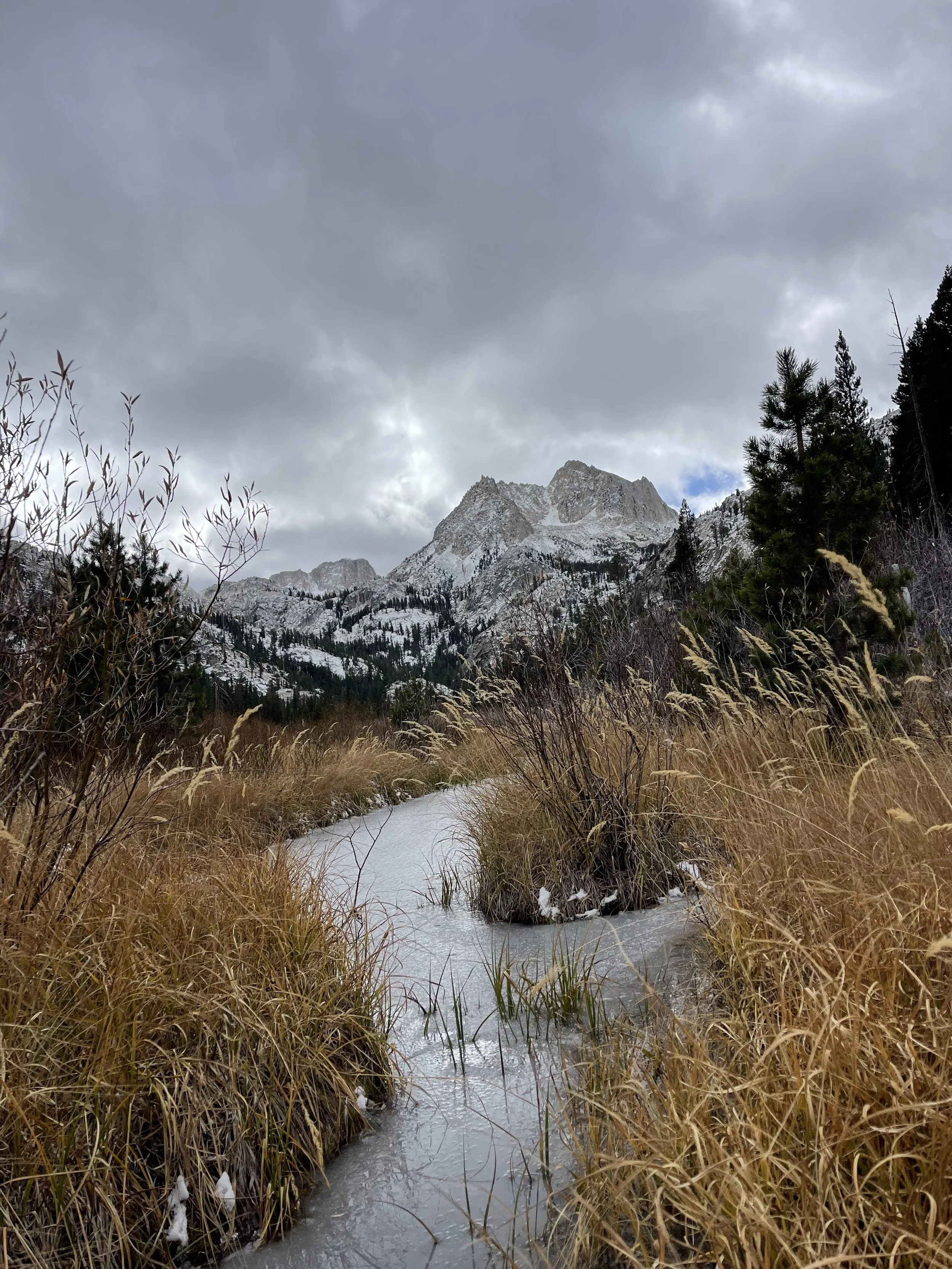 The End of Autumn