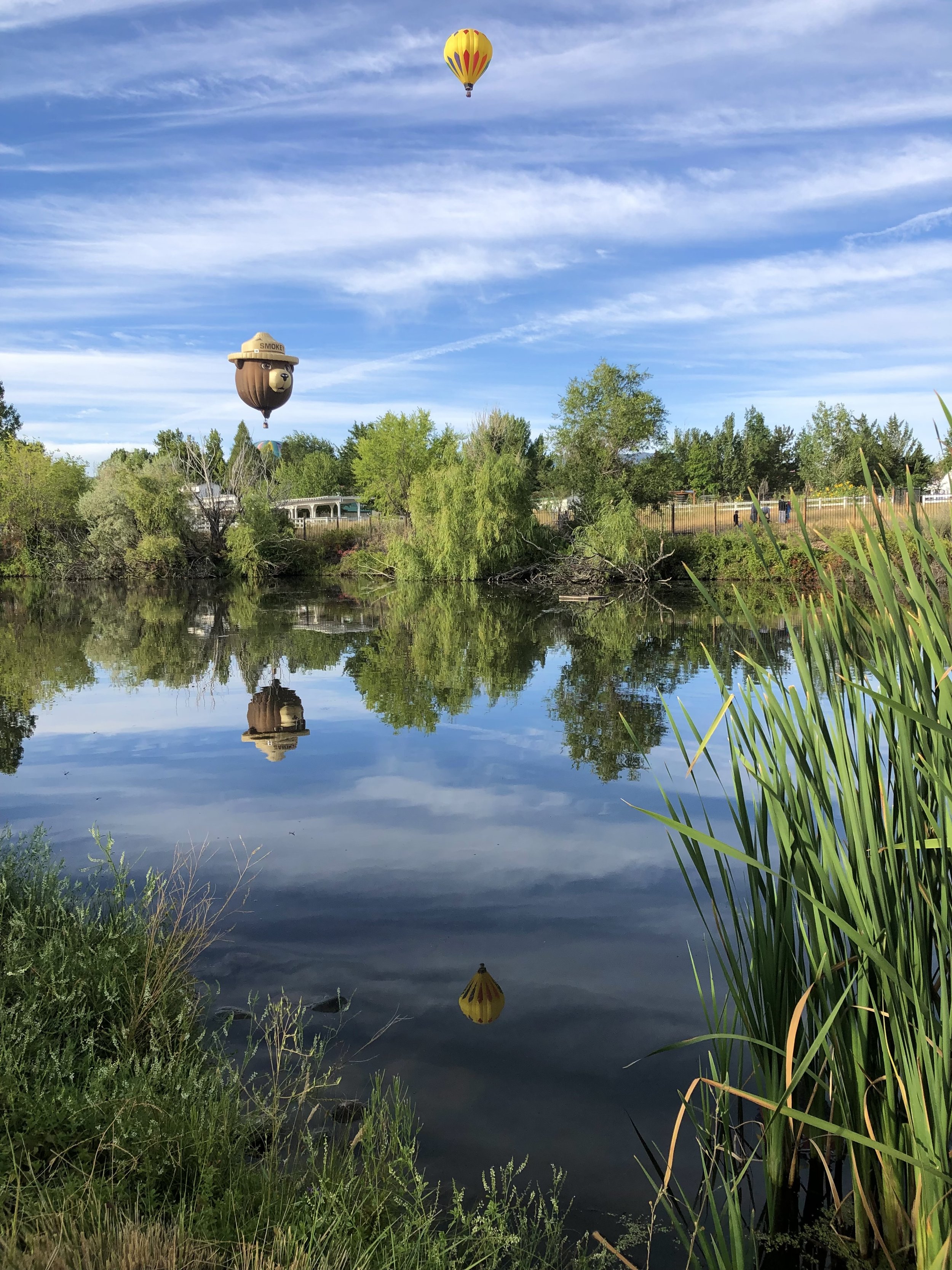 2019 sept 7 Rising Reflections  12 mp   IMG_0274.jpeg