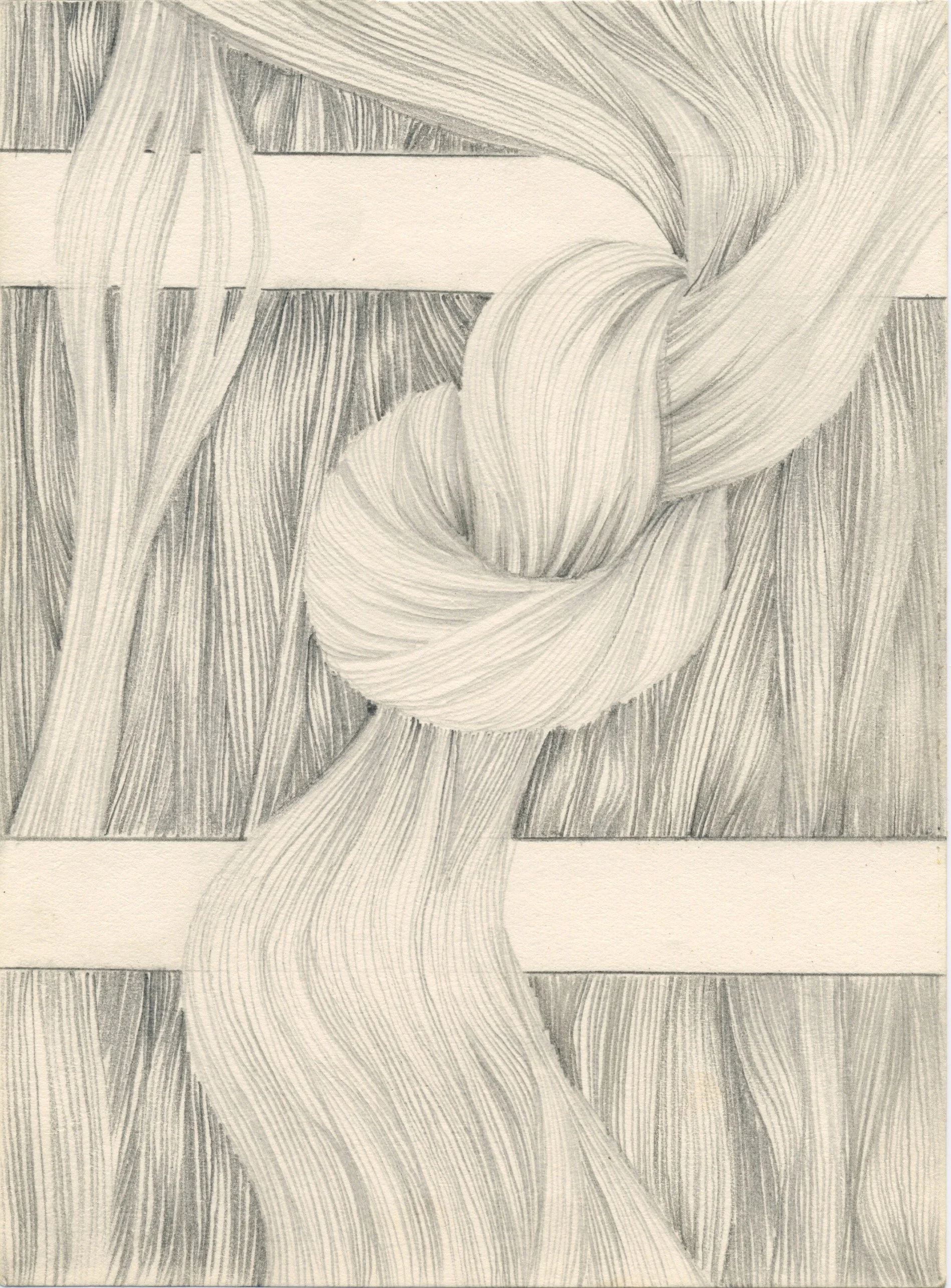 Hair 1973,  graphite pencil on paper,  16.5 x 12cm