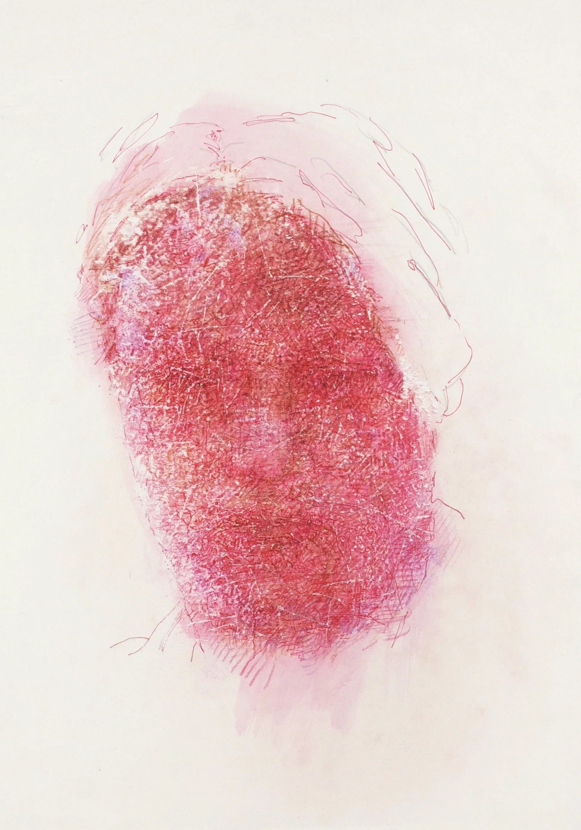 Magenta - Scored 2012,  ink, coloured pencil -washed, scored on paper,  42 x 30cm