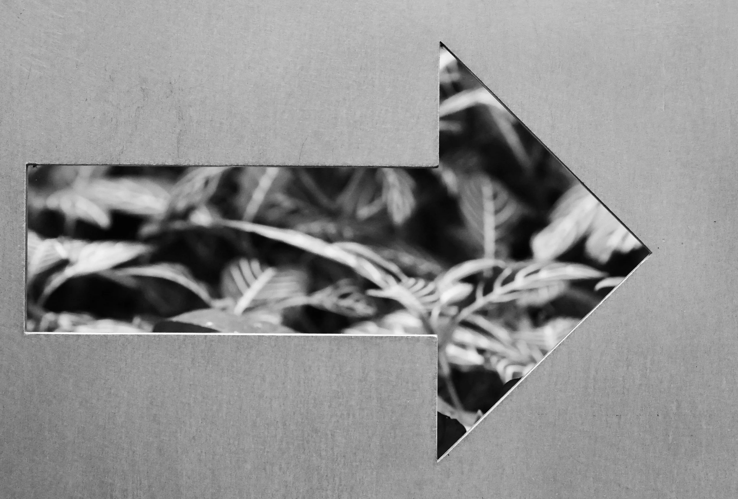 unsplash-image-LCqyu7a8xdk.jpg